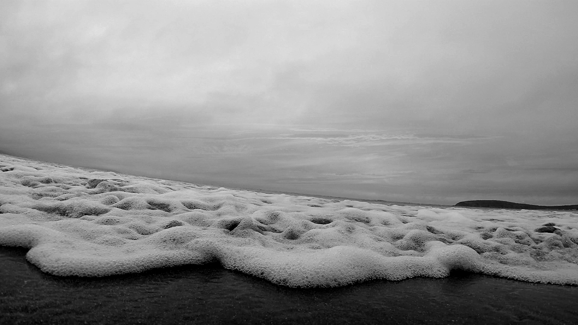YI018501.MP4_20171028_090000.482-bw-ocean-life-hidden-and-away-#340.png