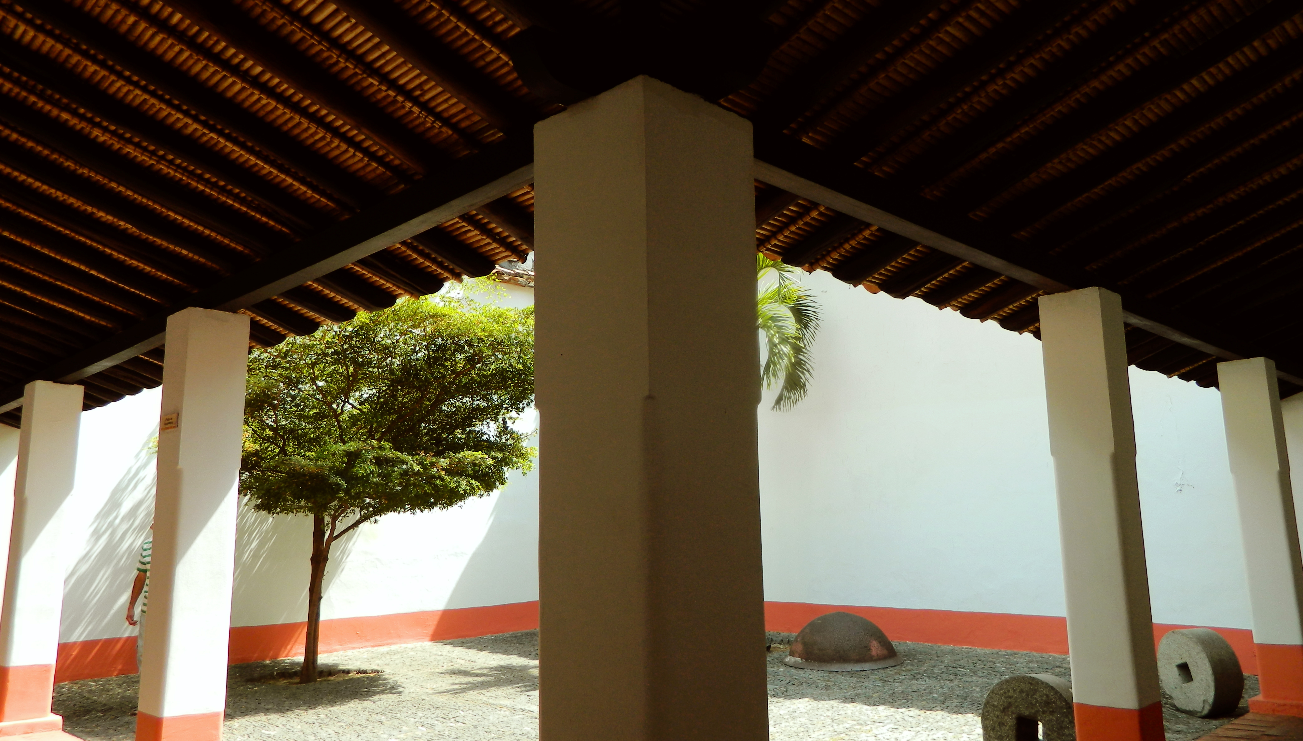 DSCN7225.jpg