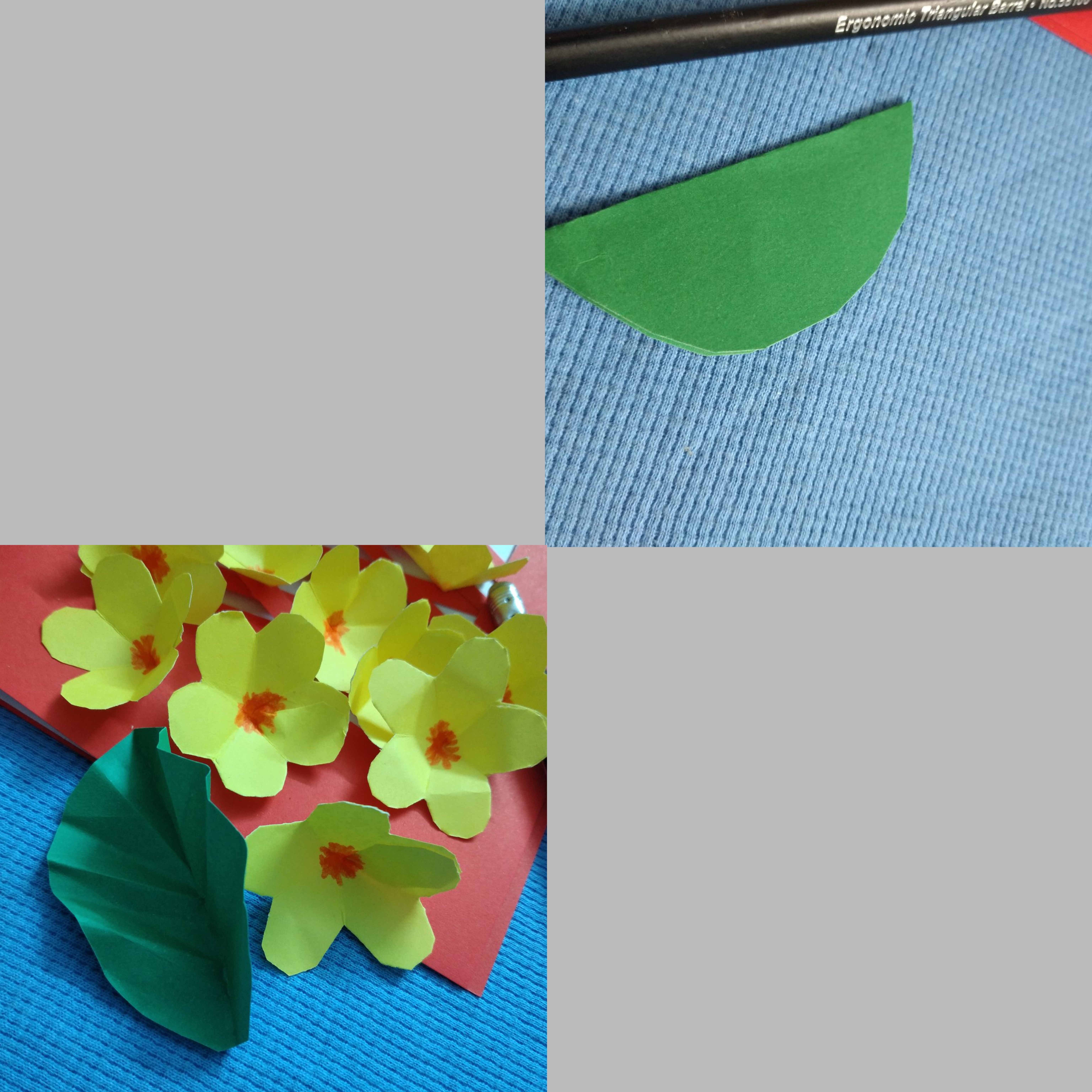 52532.jpg