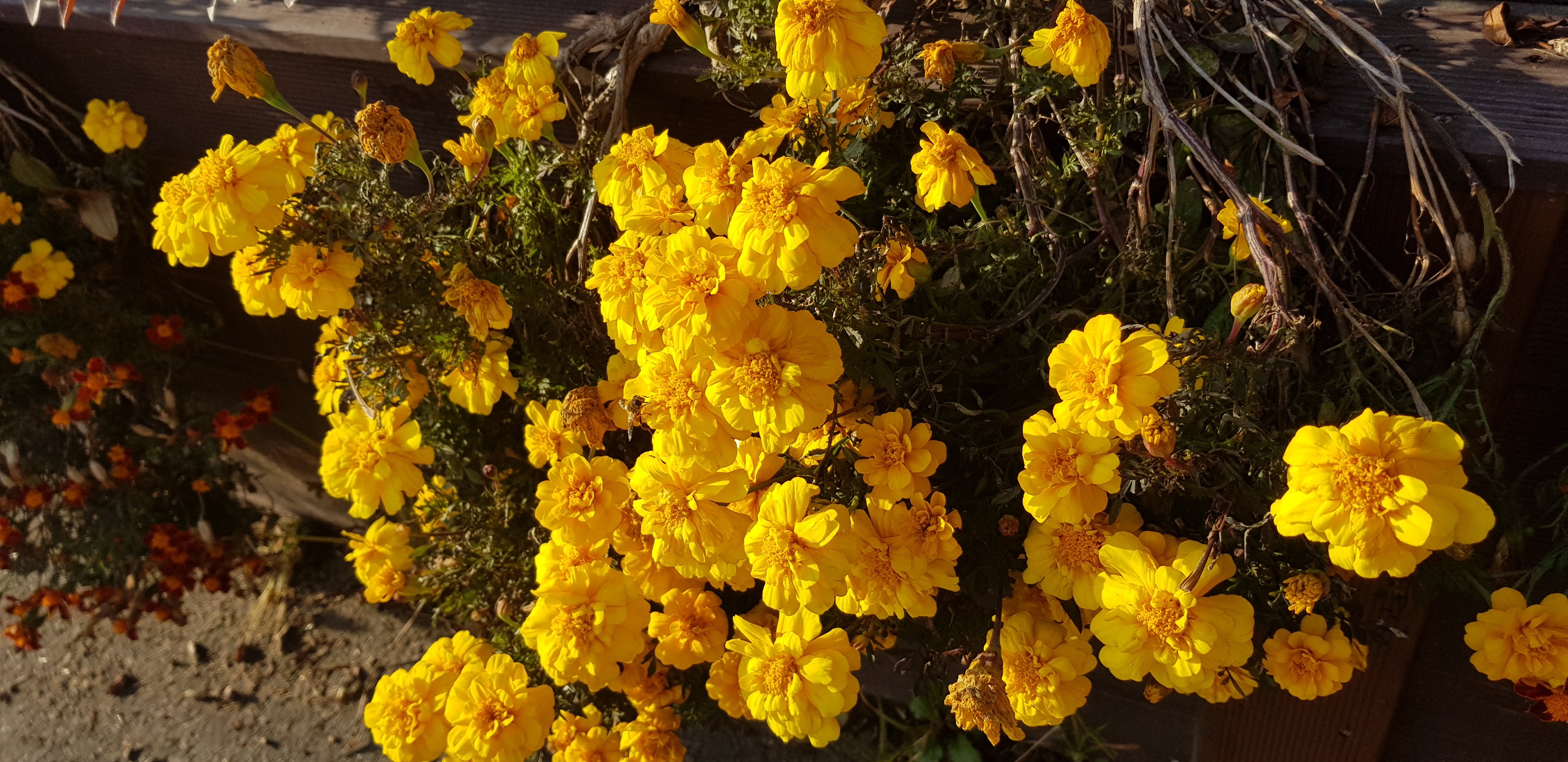 20191116_153614.jpg