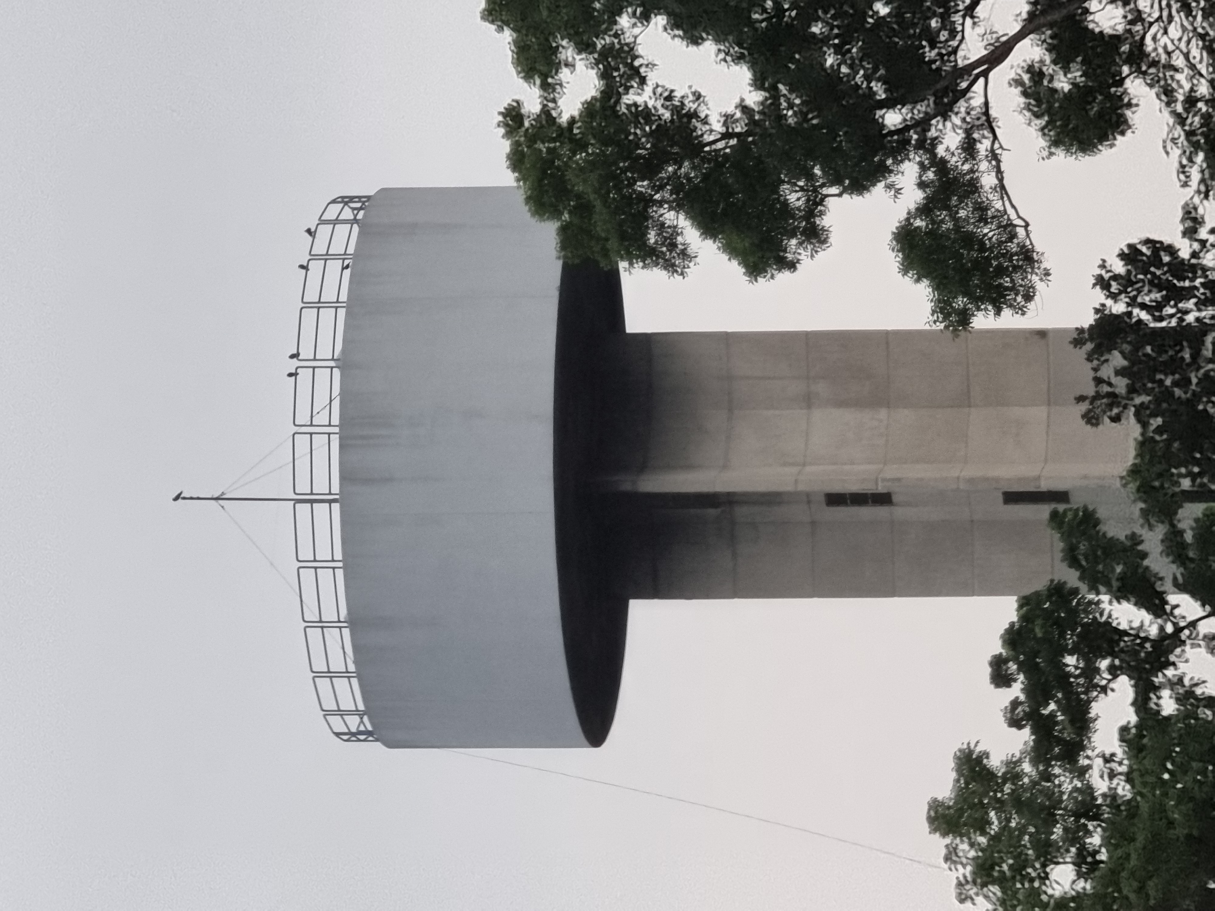 20220604_183548.jpg