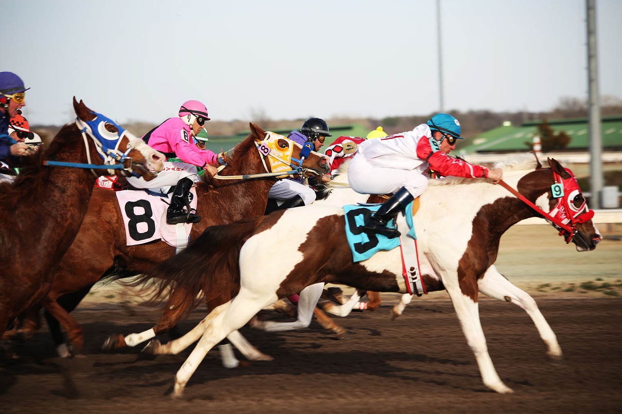 horses-2523301_1280.jpg