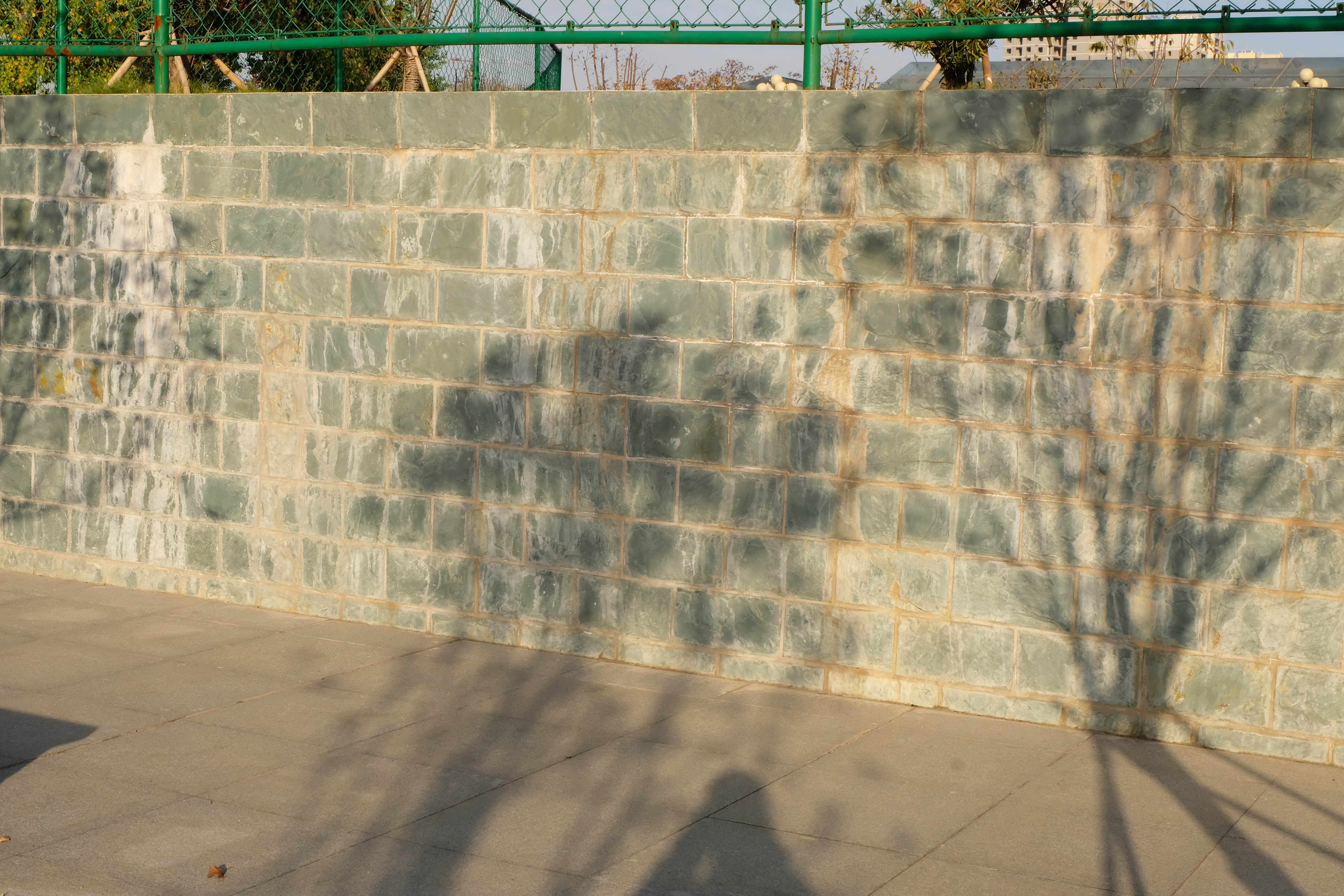 DSCF1297.jpg