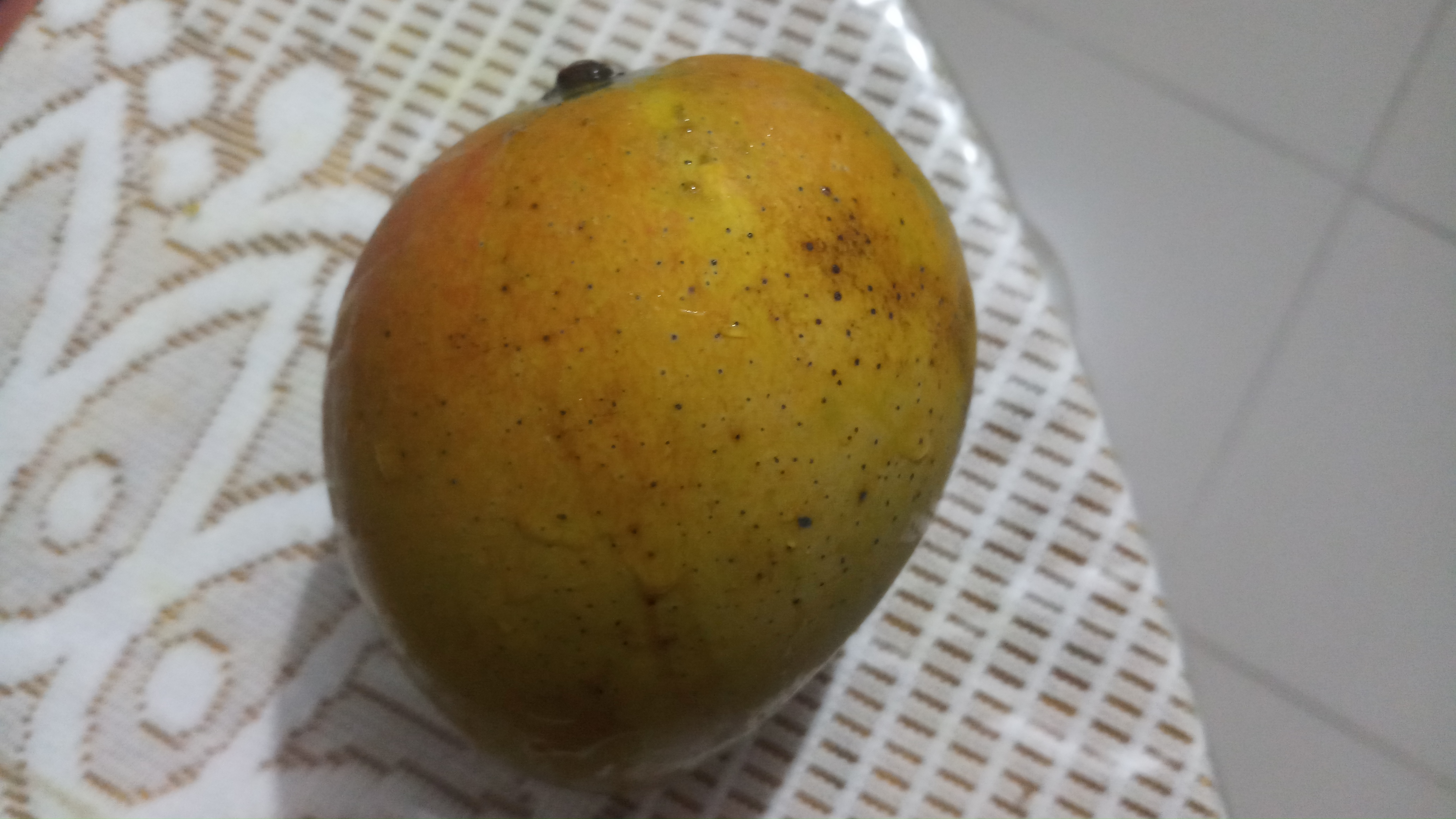 20190712_193958.jpg