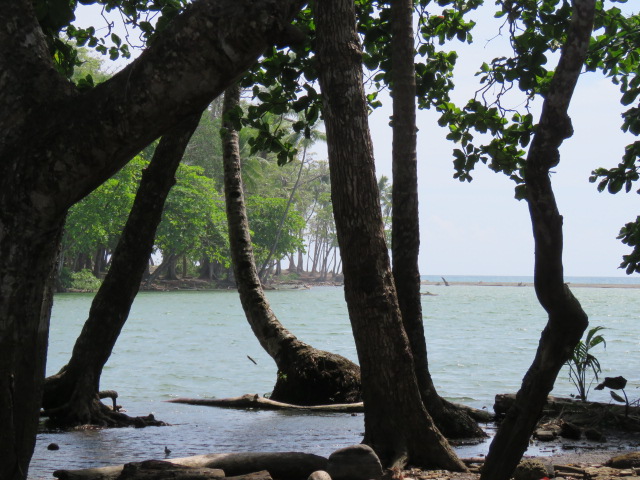 waterfront1.jpg