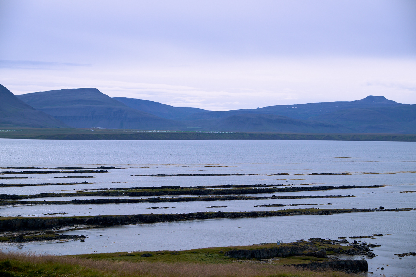 DSCF4472.jpg