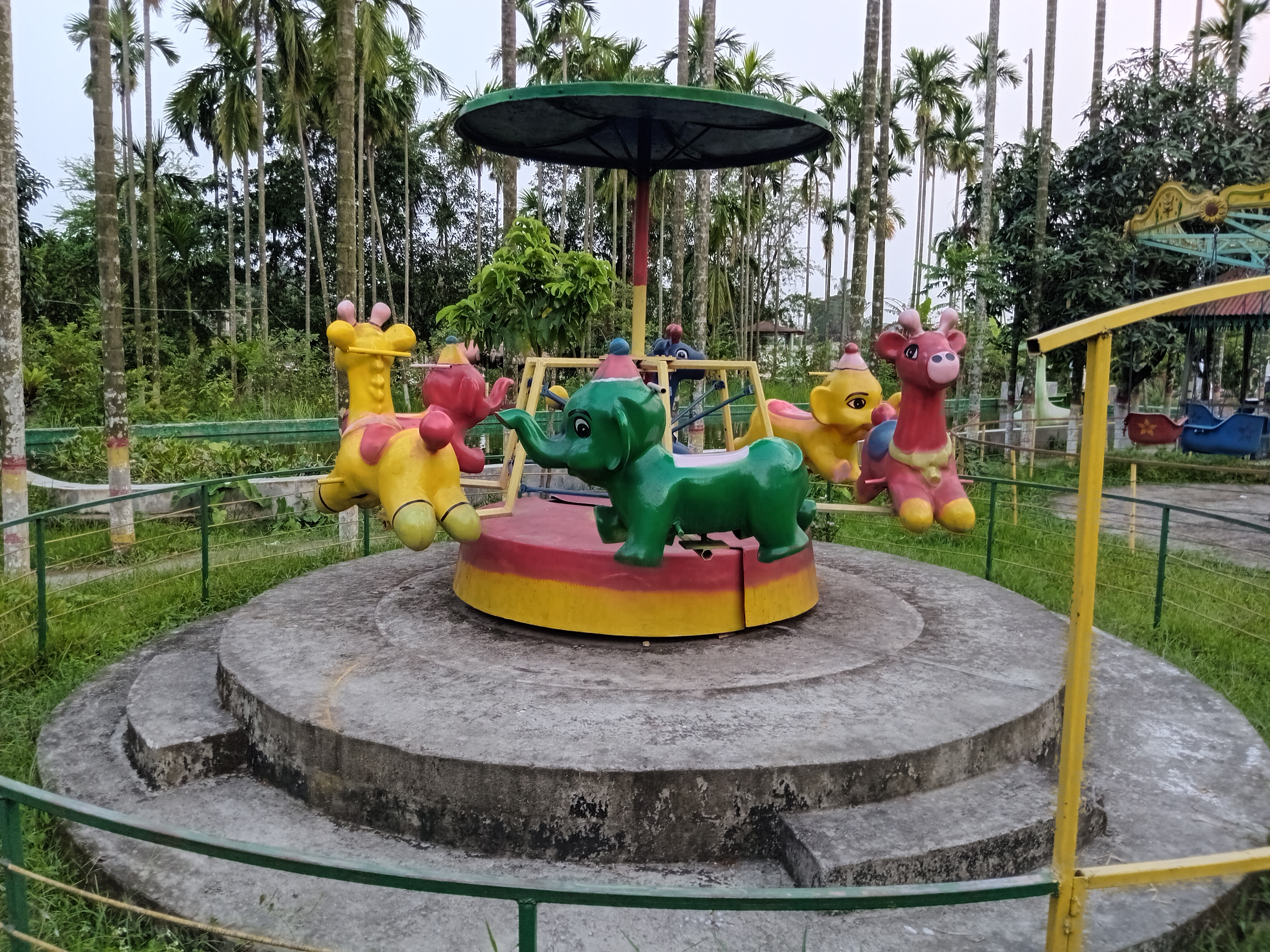 1000019879.jpg