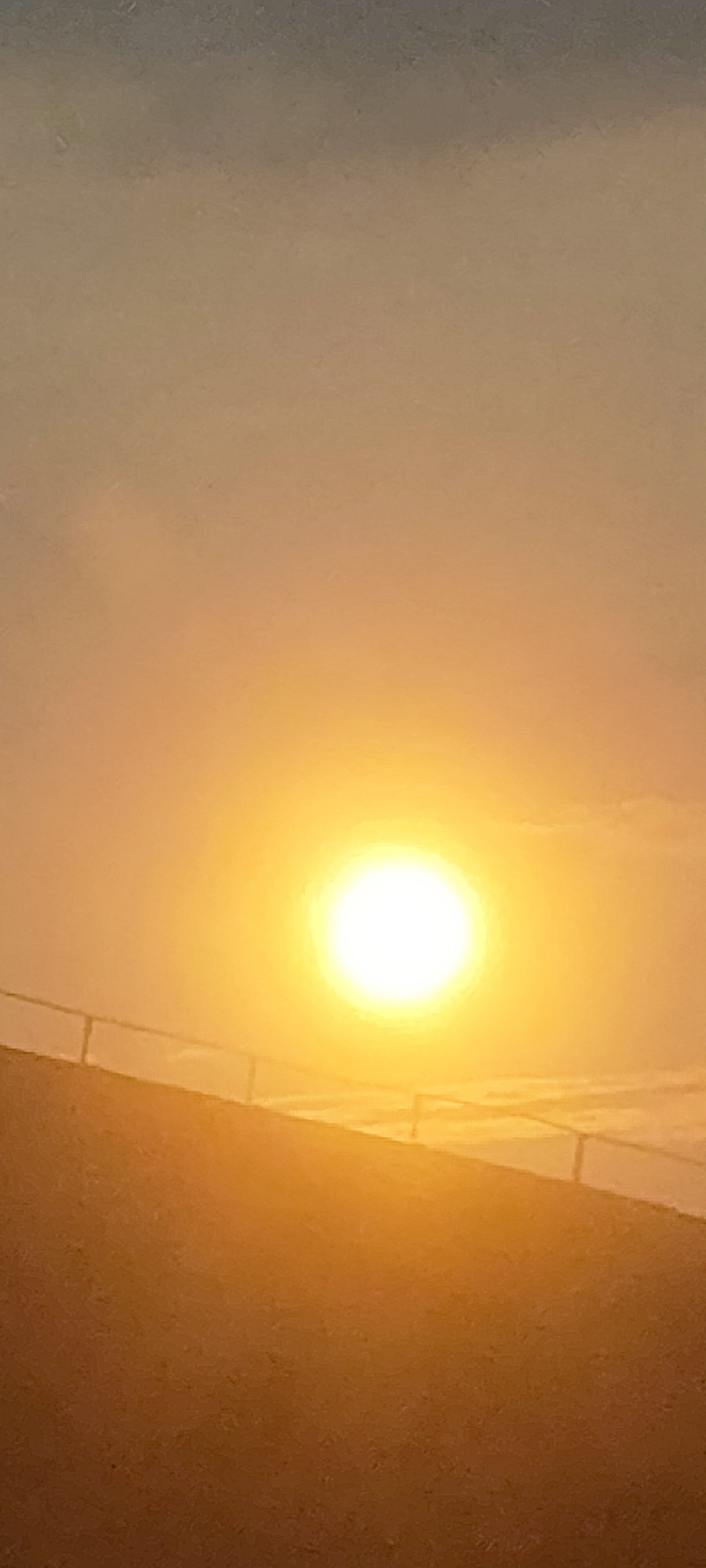 IMG20220813060902.jpg