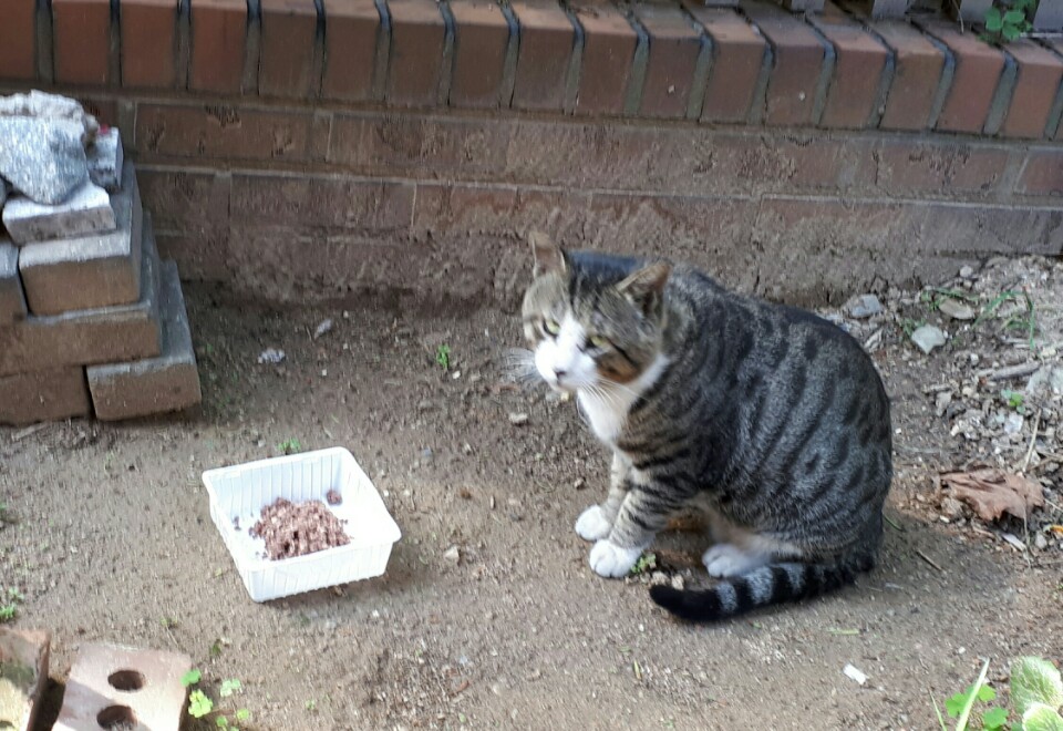 KakaoTalk_20180911_151418621.jpg