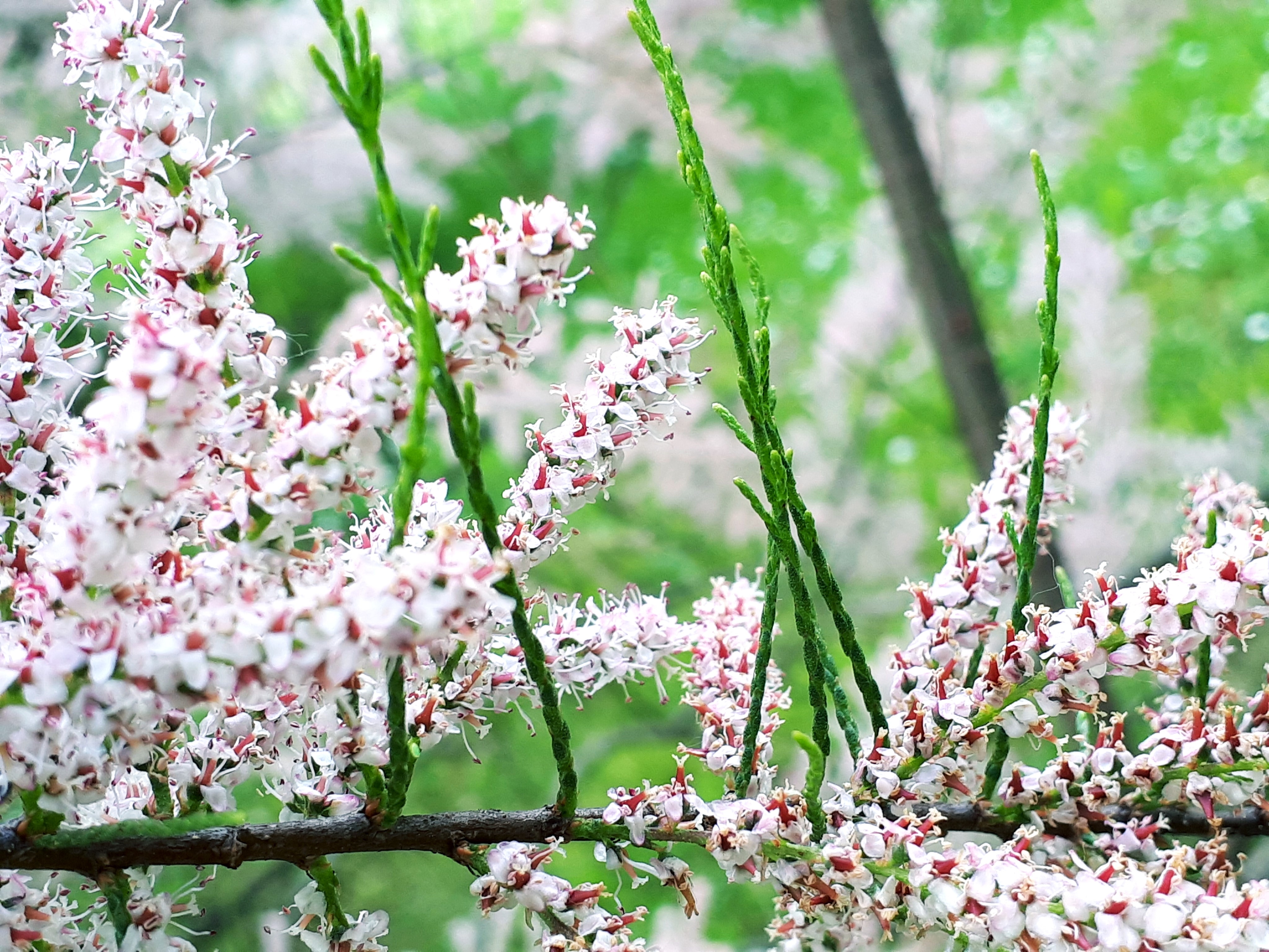 20190811_123905.jpg