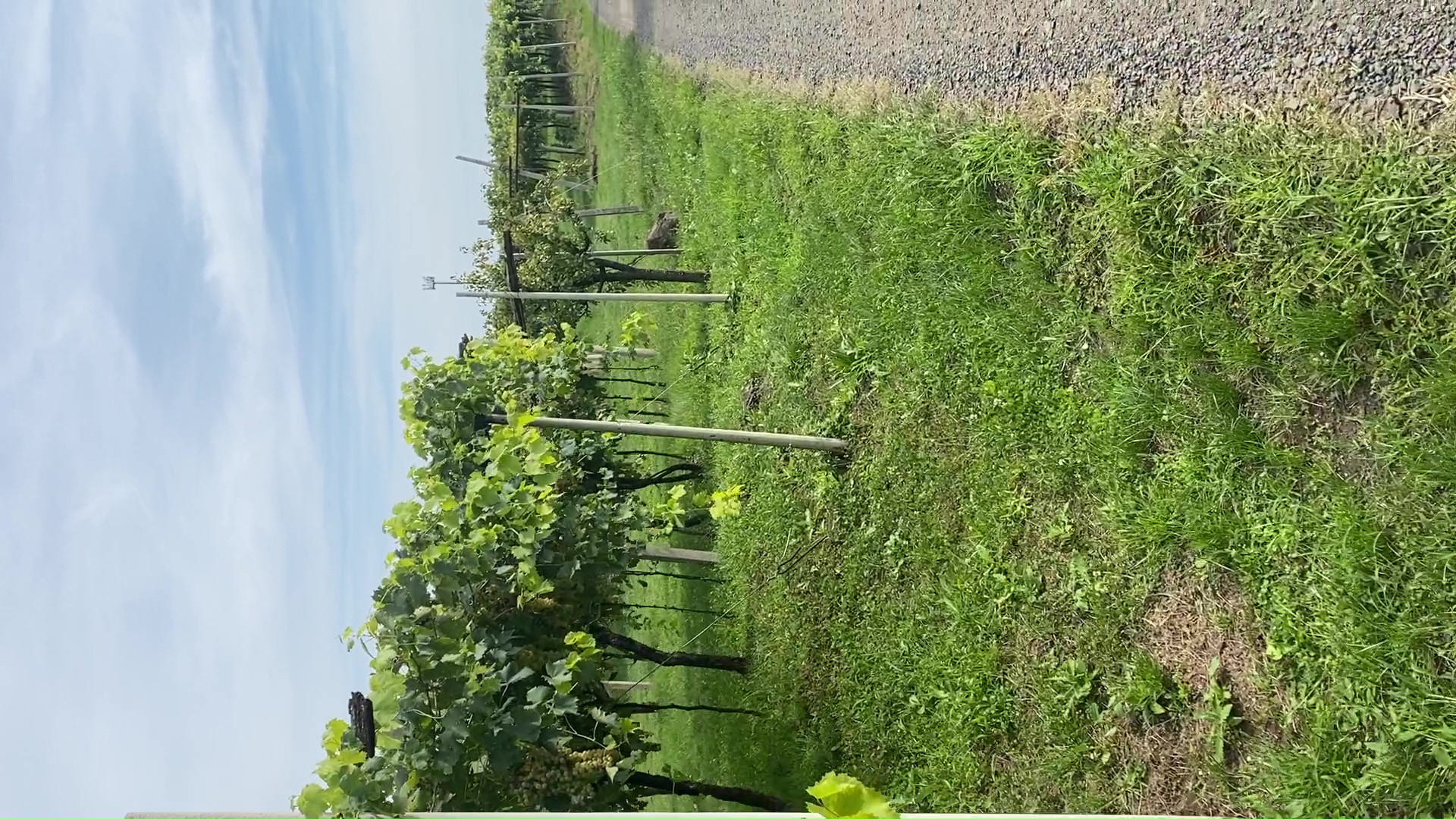 vlcsnap-2025-09-09-0