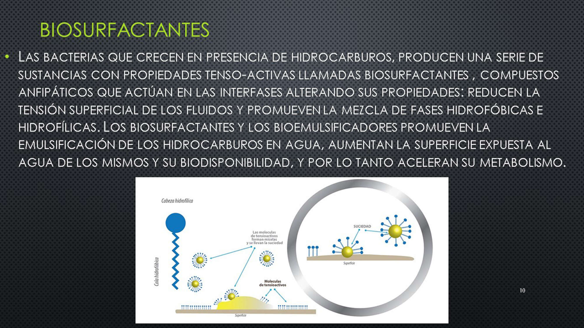 Diapositiva10.JPG