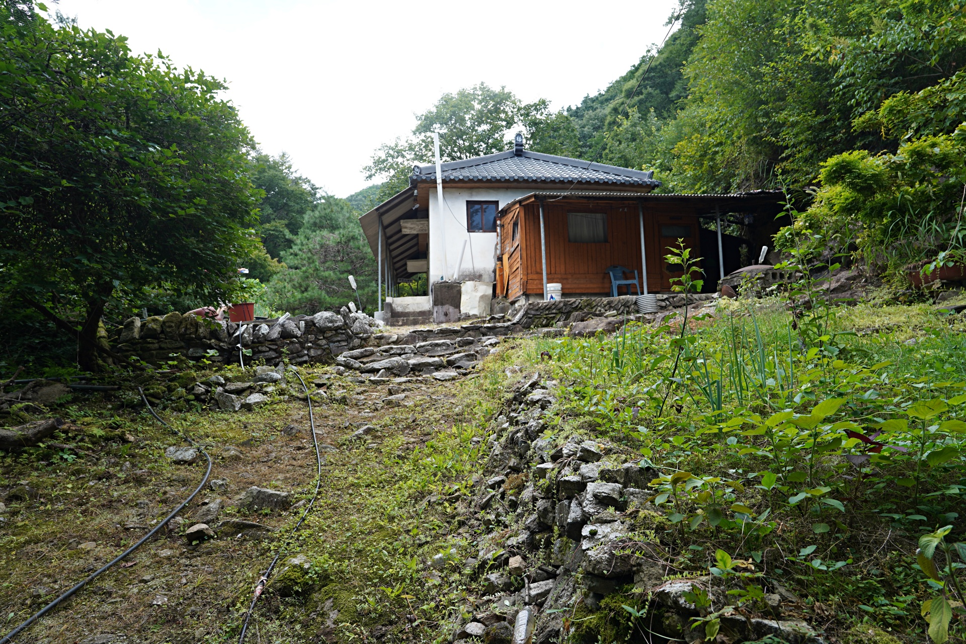 b-S260807-132119.jpg