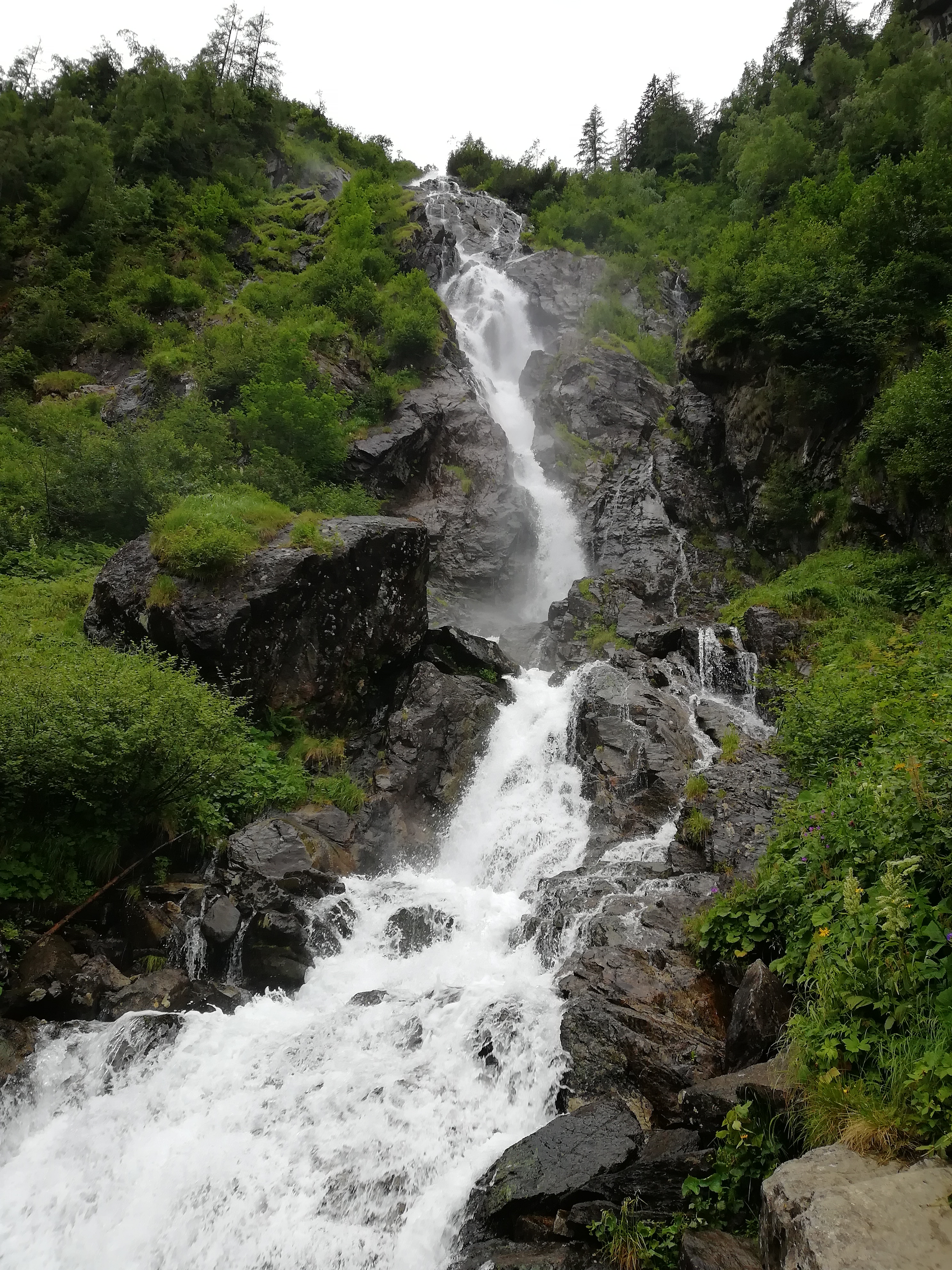 IMG_20180708_112311.jpg