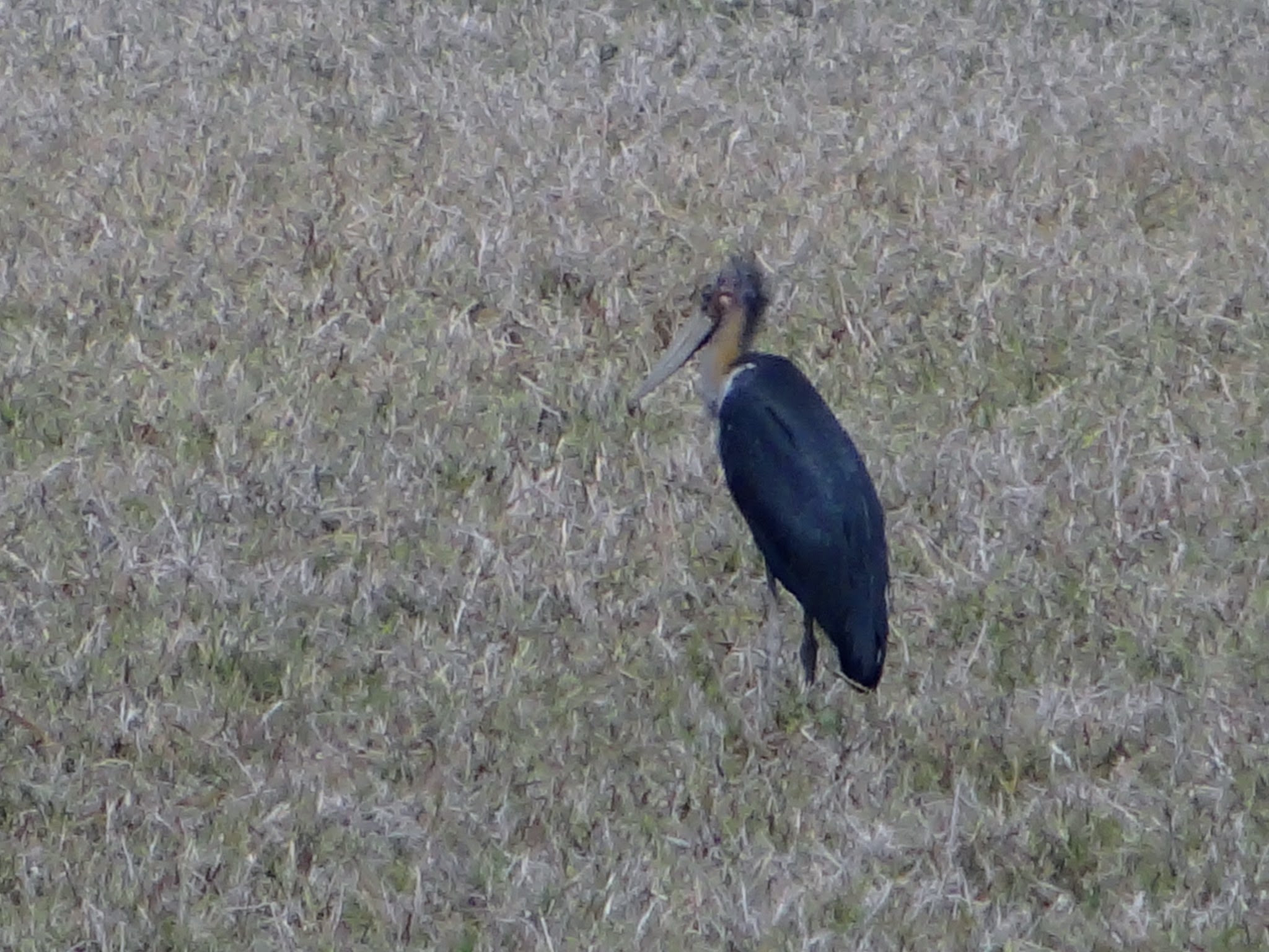 DSC06345.JPG