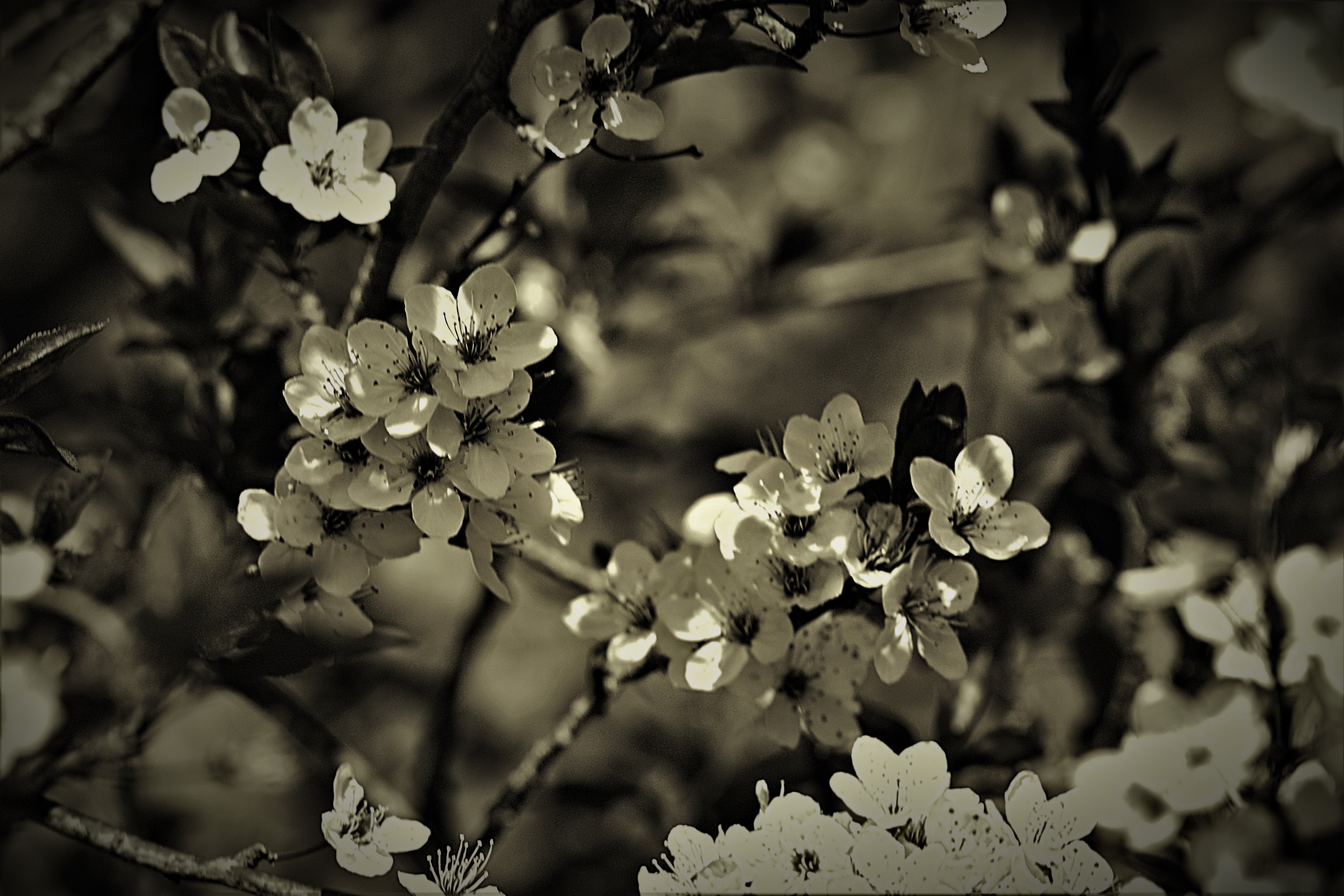 IMG_1395_InPixio (3)_InPixio.jpg