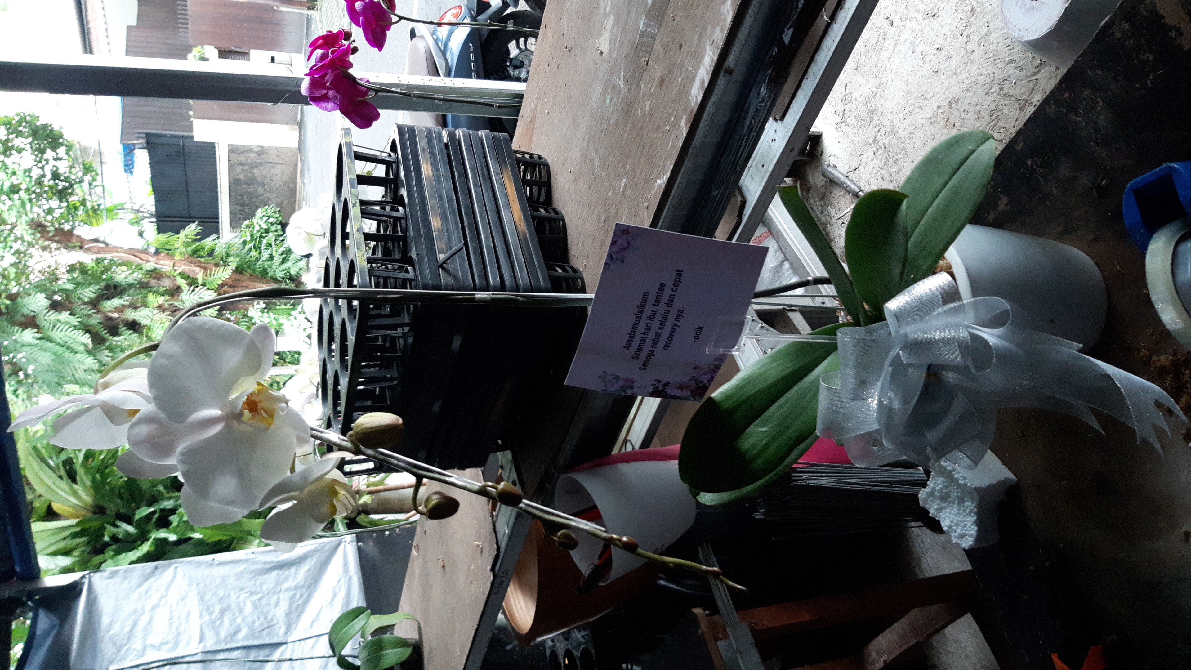 IMG-20211222-WA0000.jpeg
