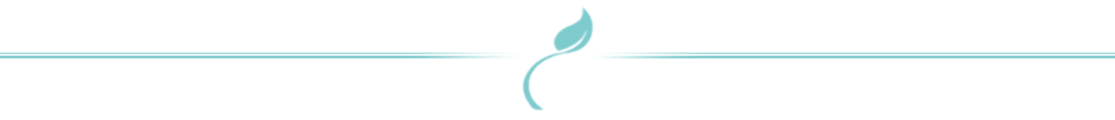 Separadores-121-1024x111.png