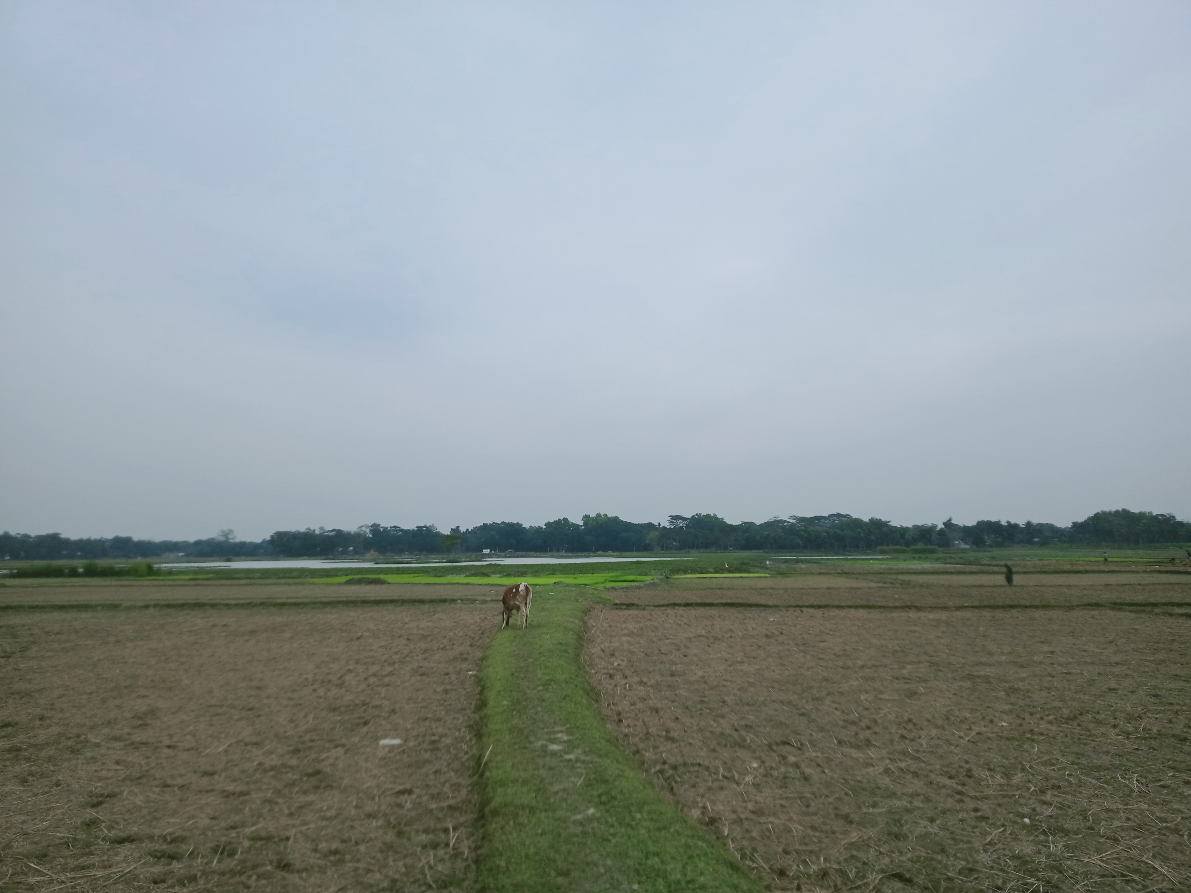 IMG20231223110006.jpg