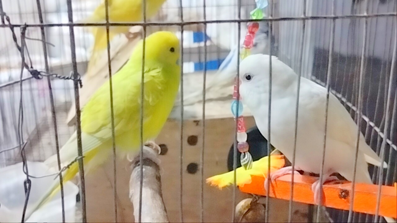 IMG20260813215539_01.jpeg
