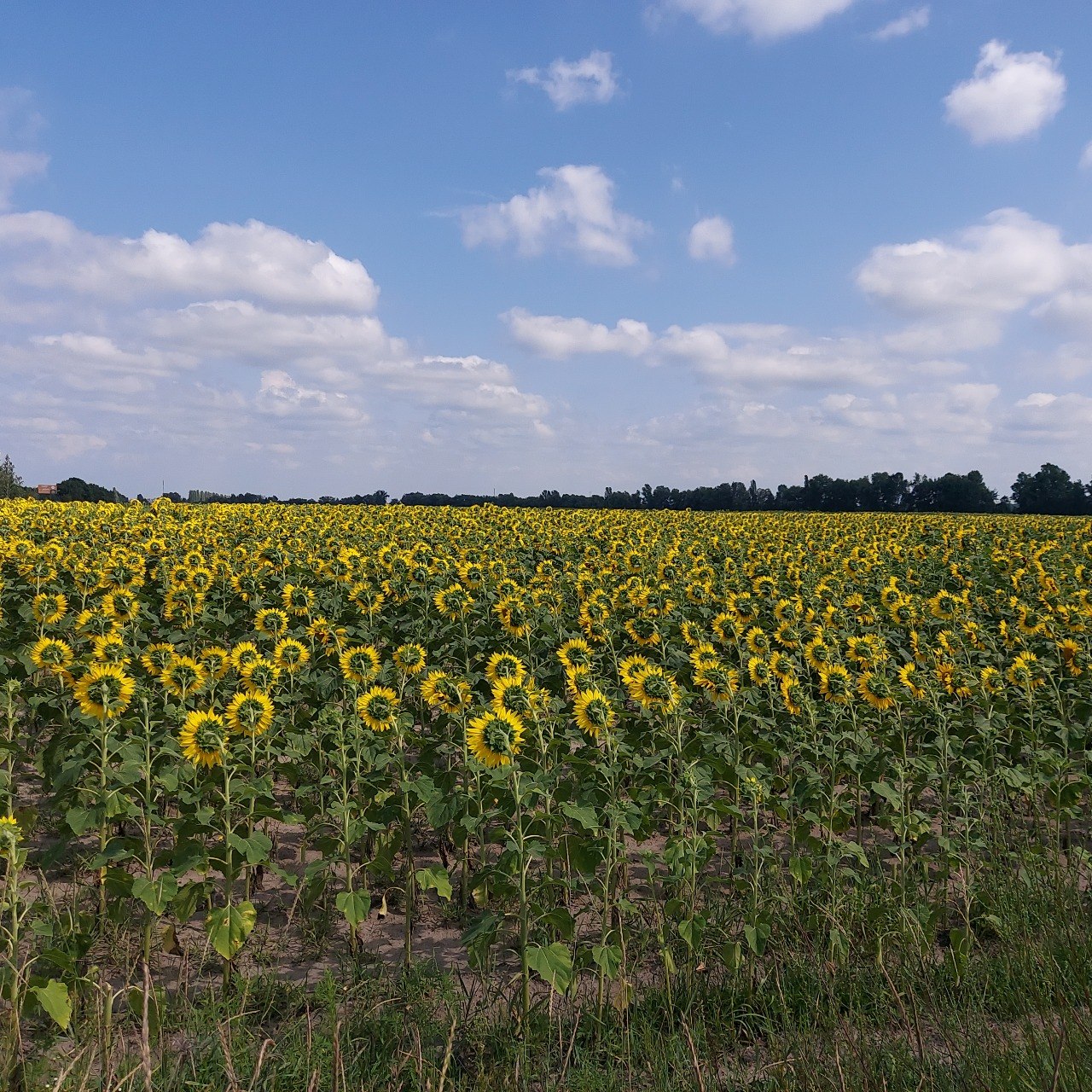 IMG_6140.jpeg