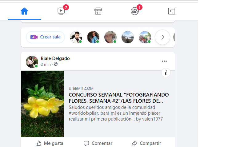 florcita.png