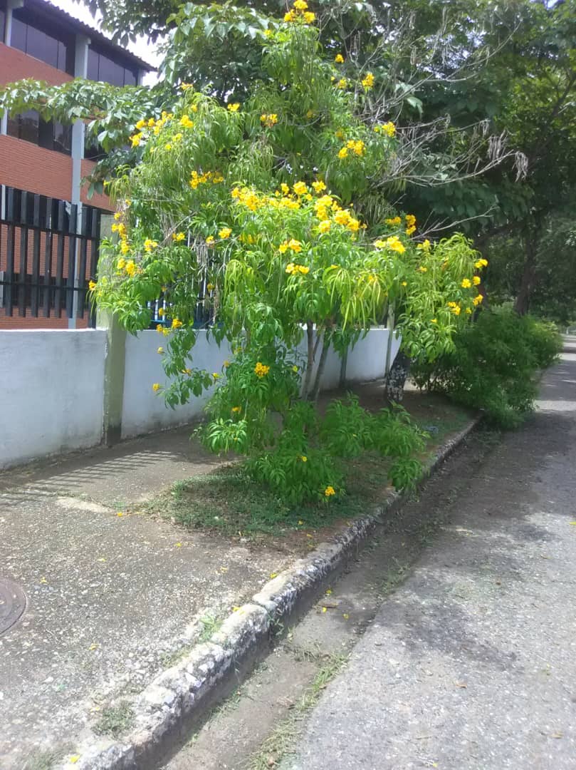 IMG-20190726-WA0019.jpg