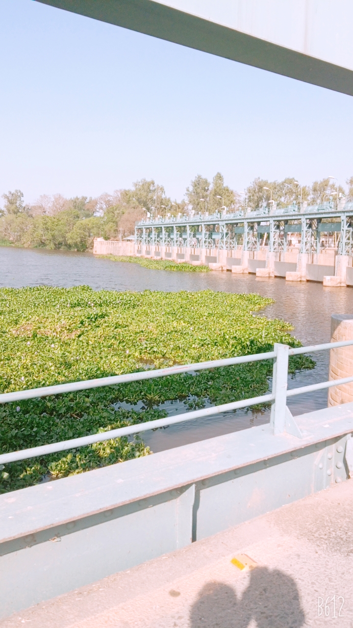 B612_20210409_154144_569.jpg