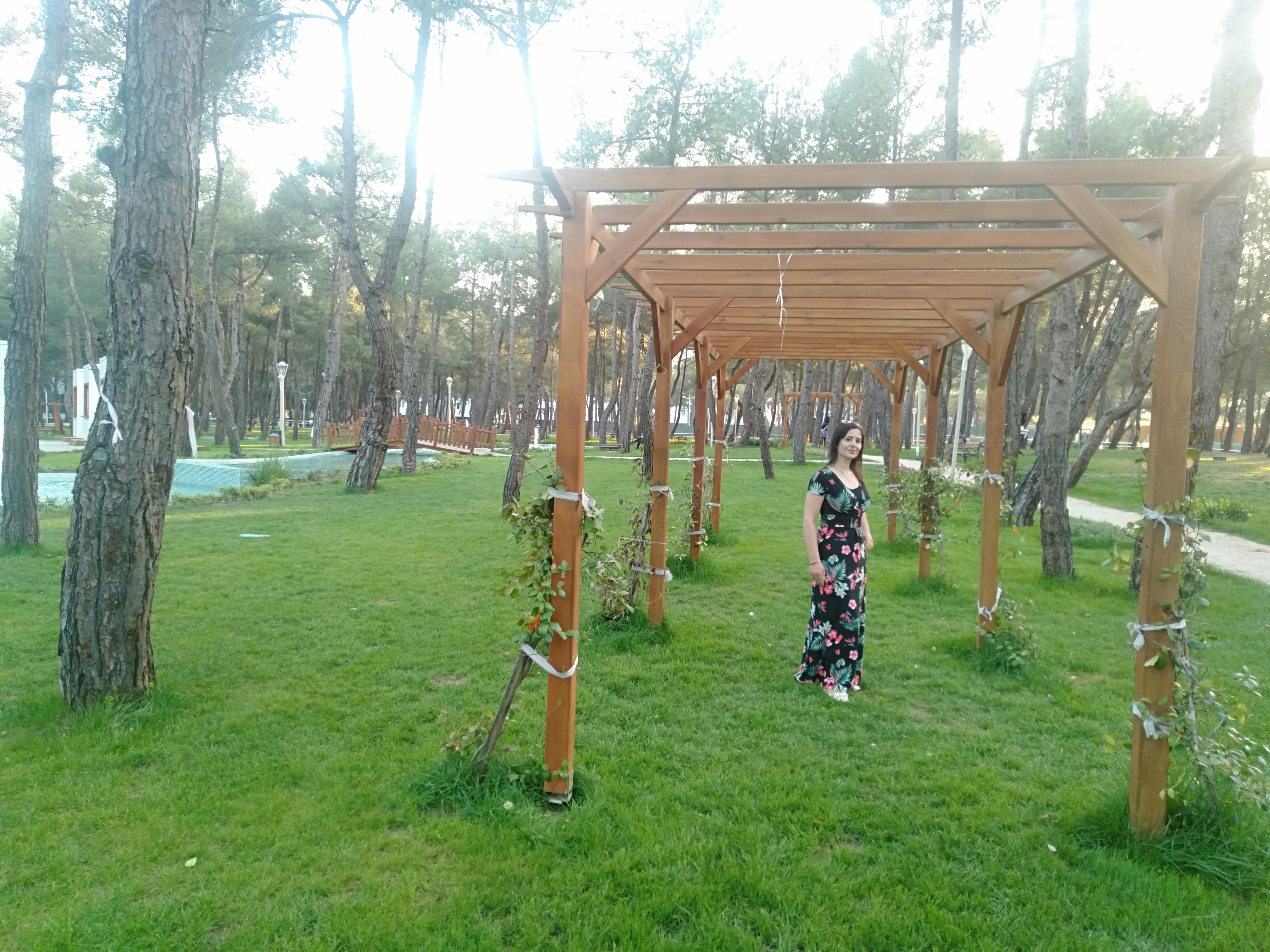 IMG20220415184637.jpg