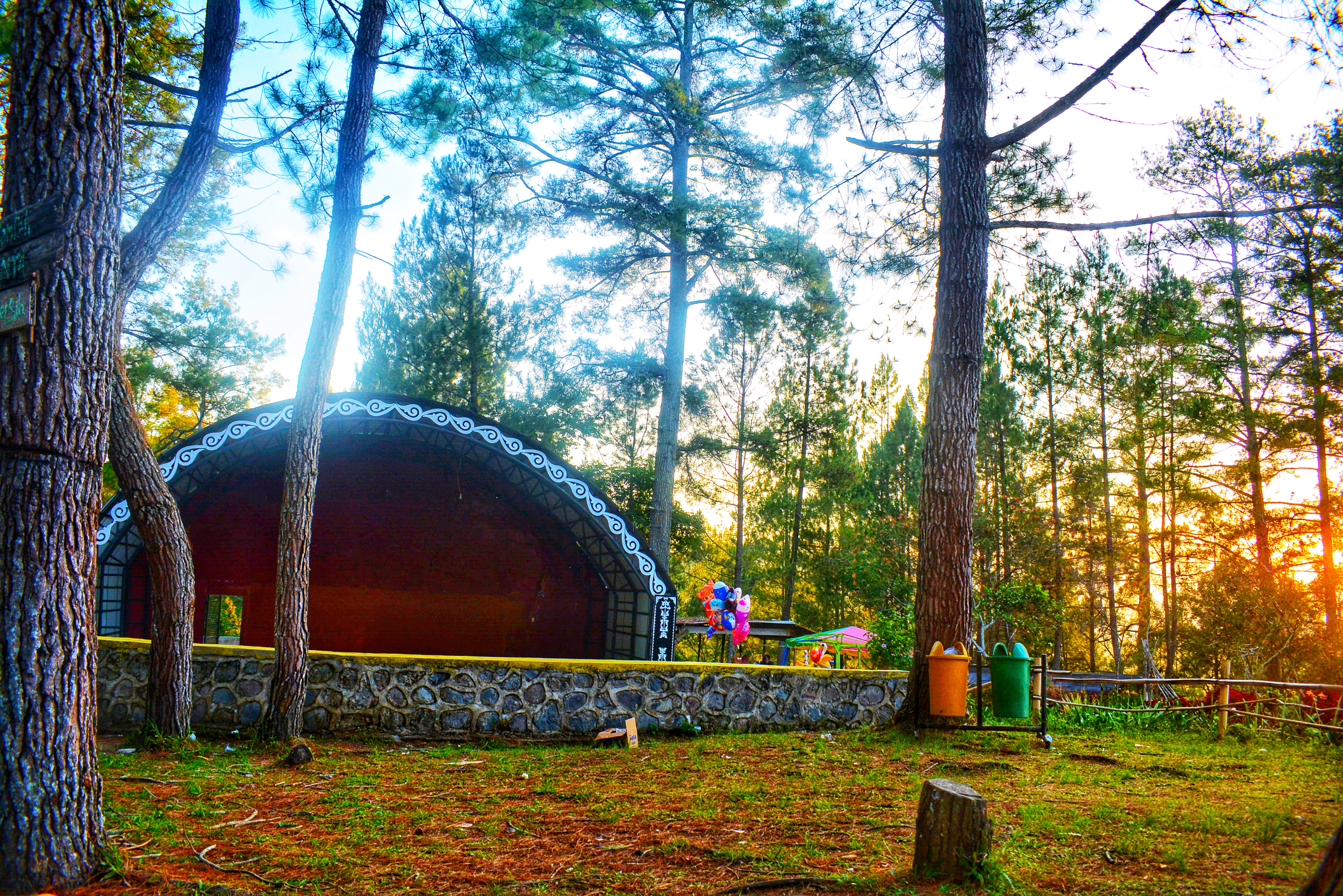 DSC_0114-01.jpeg