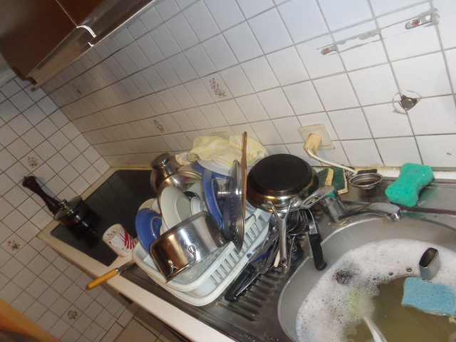 DSC02144.JPG