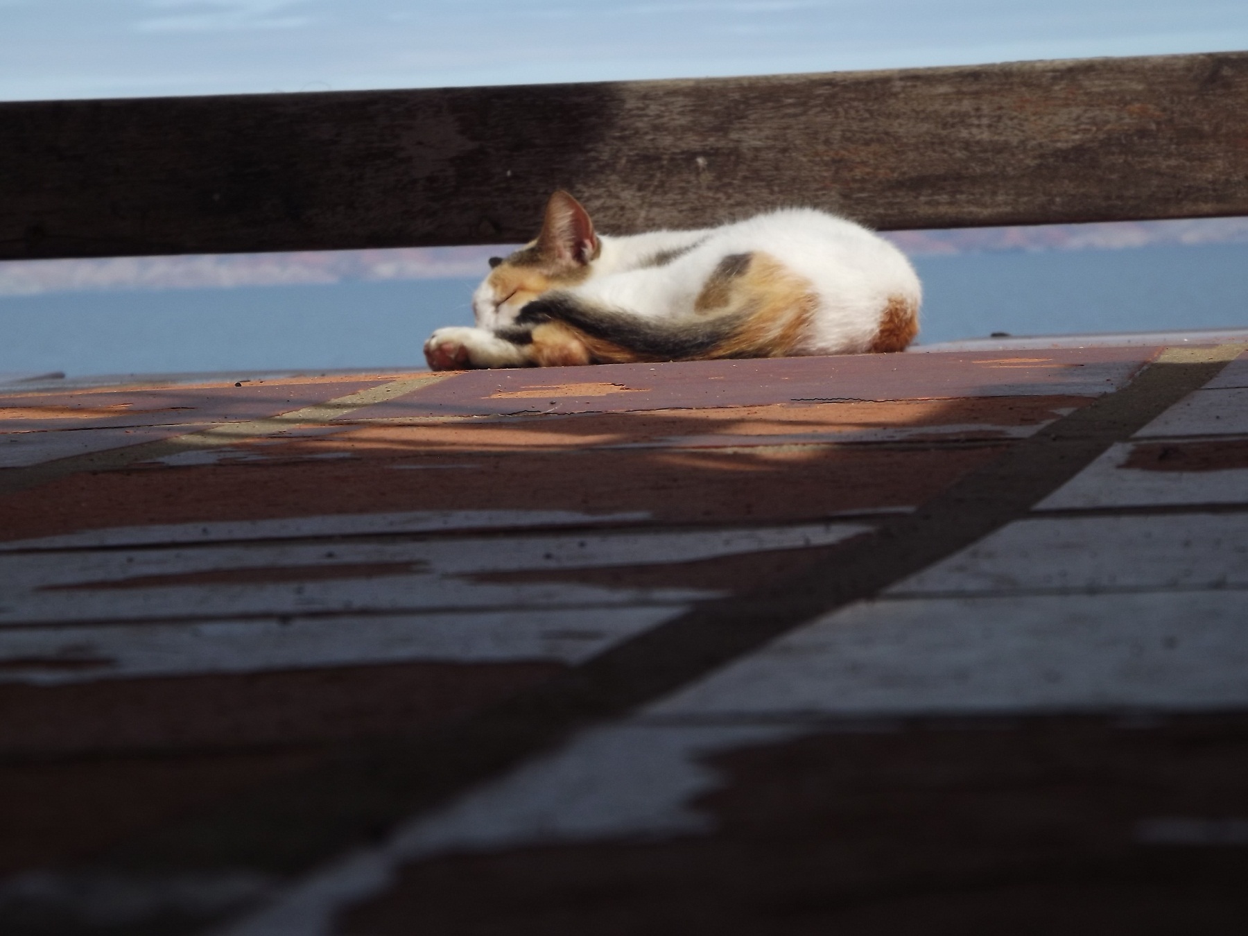 DSCF9228.JPG