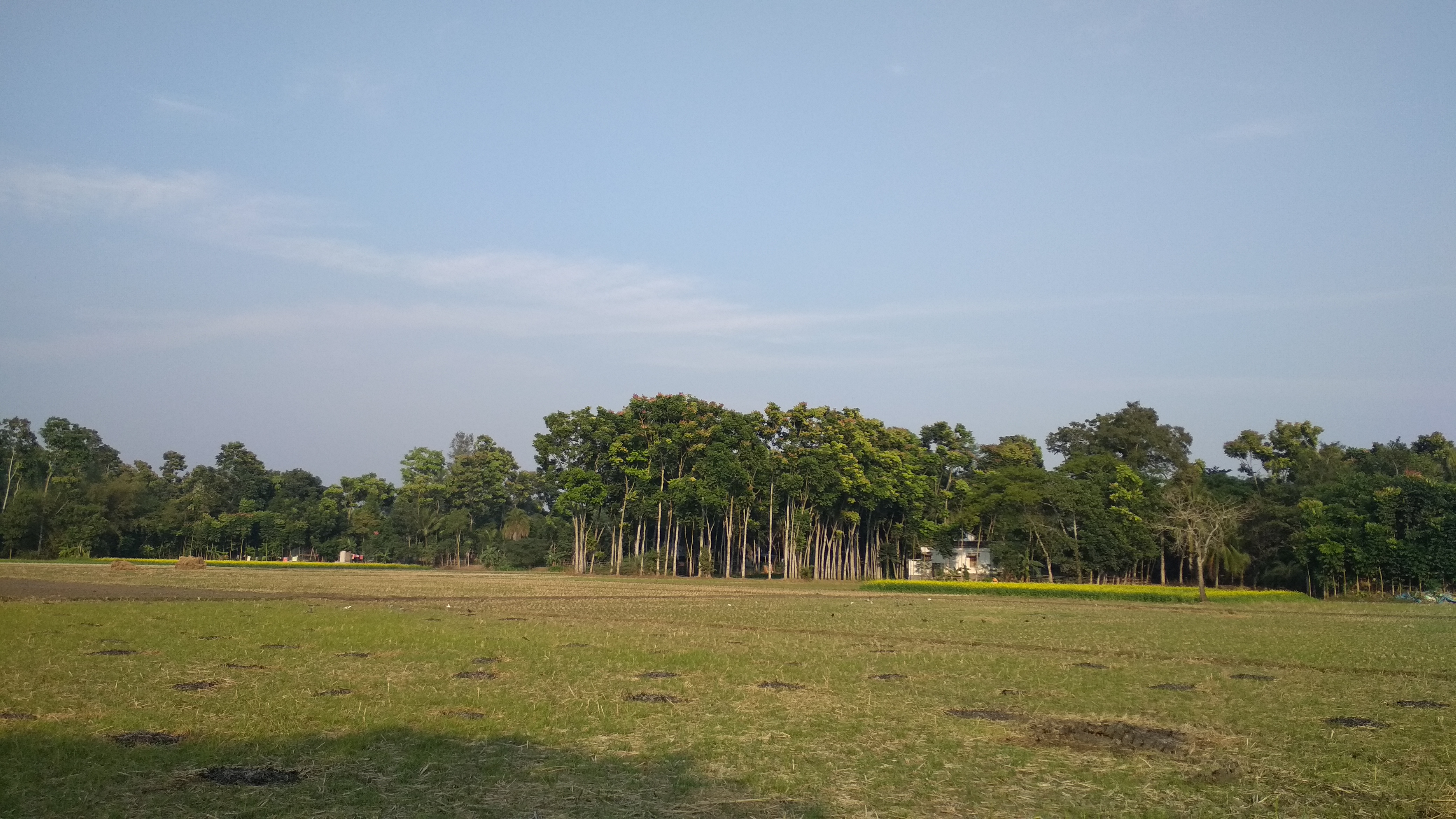 IMG_20171231_151844.jpg