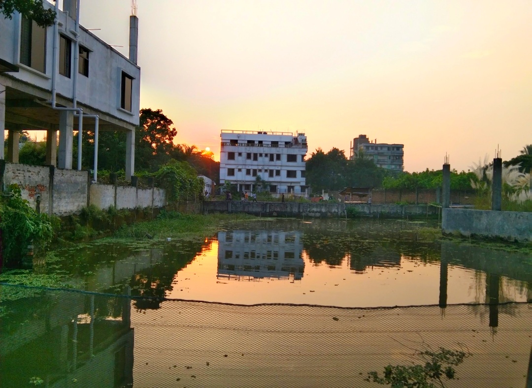 1000117840.jpg