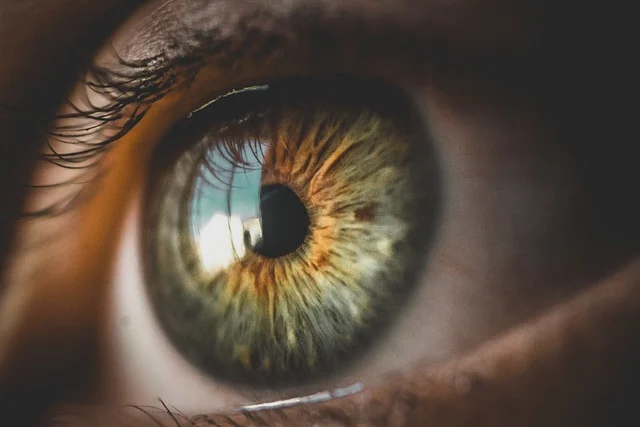 eyes-5248678_640.webp