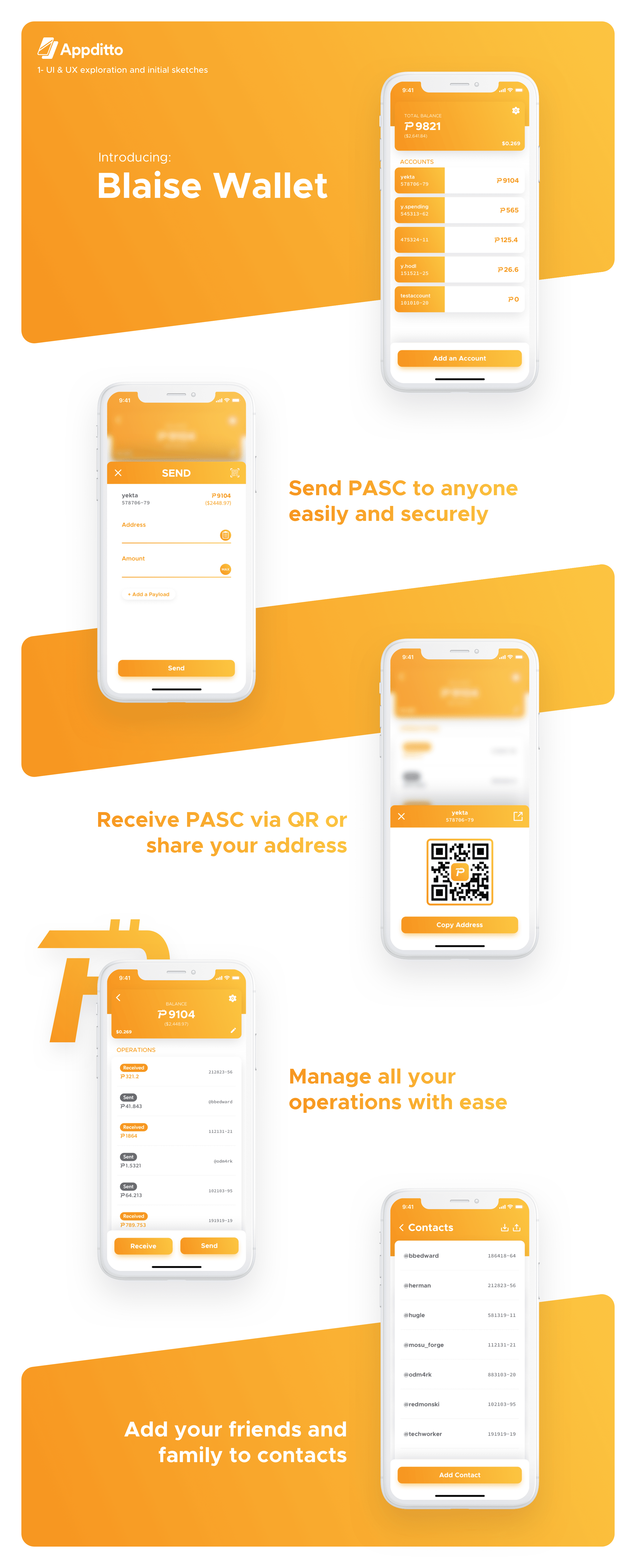 PascalCoin_Wallet_Preview_by_Appditto-1.png