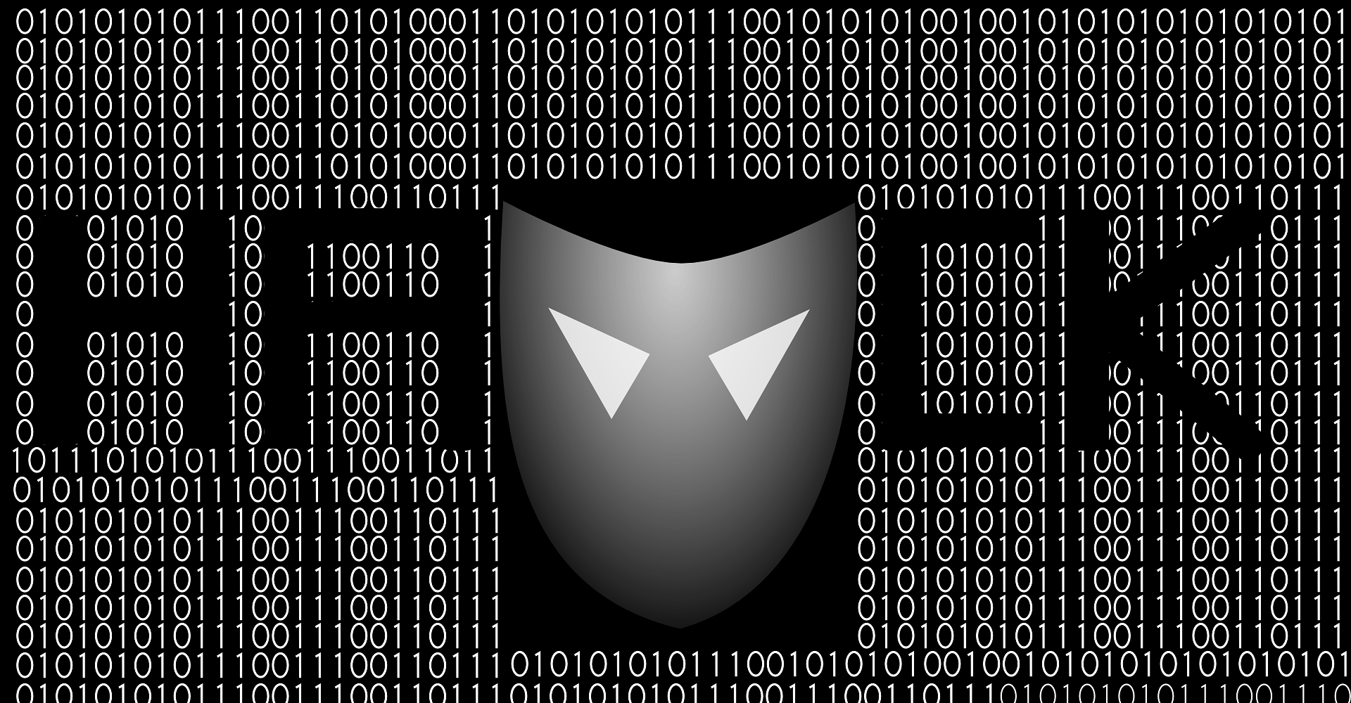 nikin-hack-2172773_1920.png
