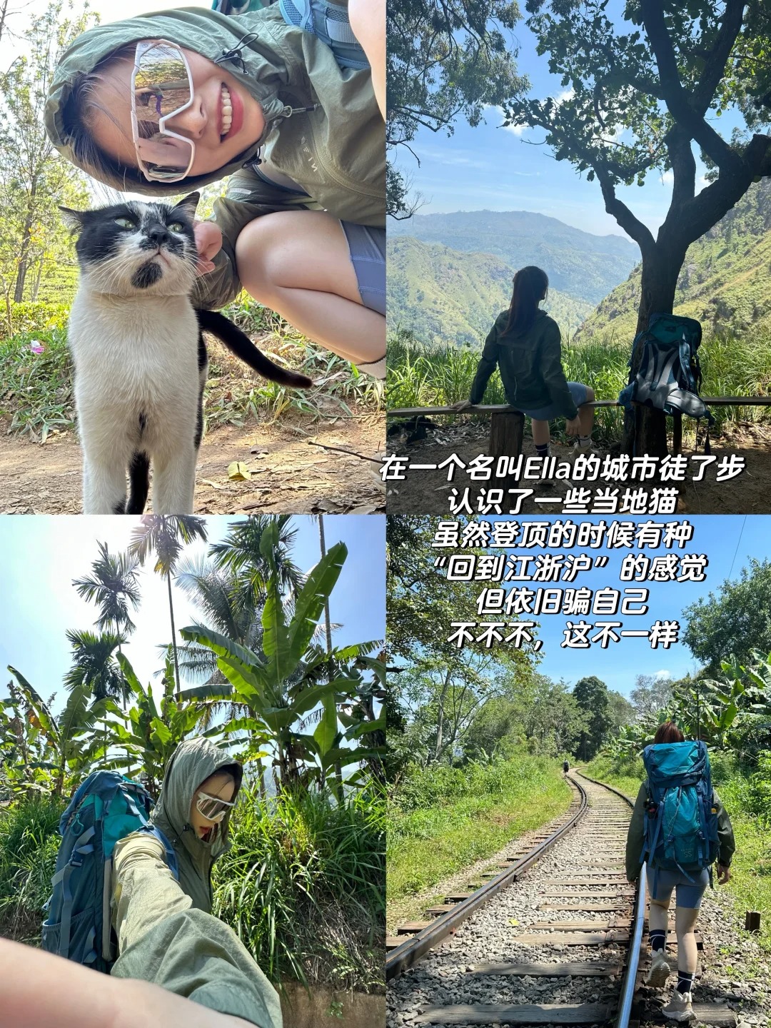 我放弃泰国了😭斯里兰卡真的又便宜又安全 (6).jpg