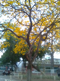 1486076982024.jpg)
![