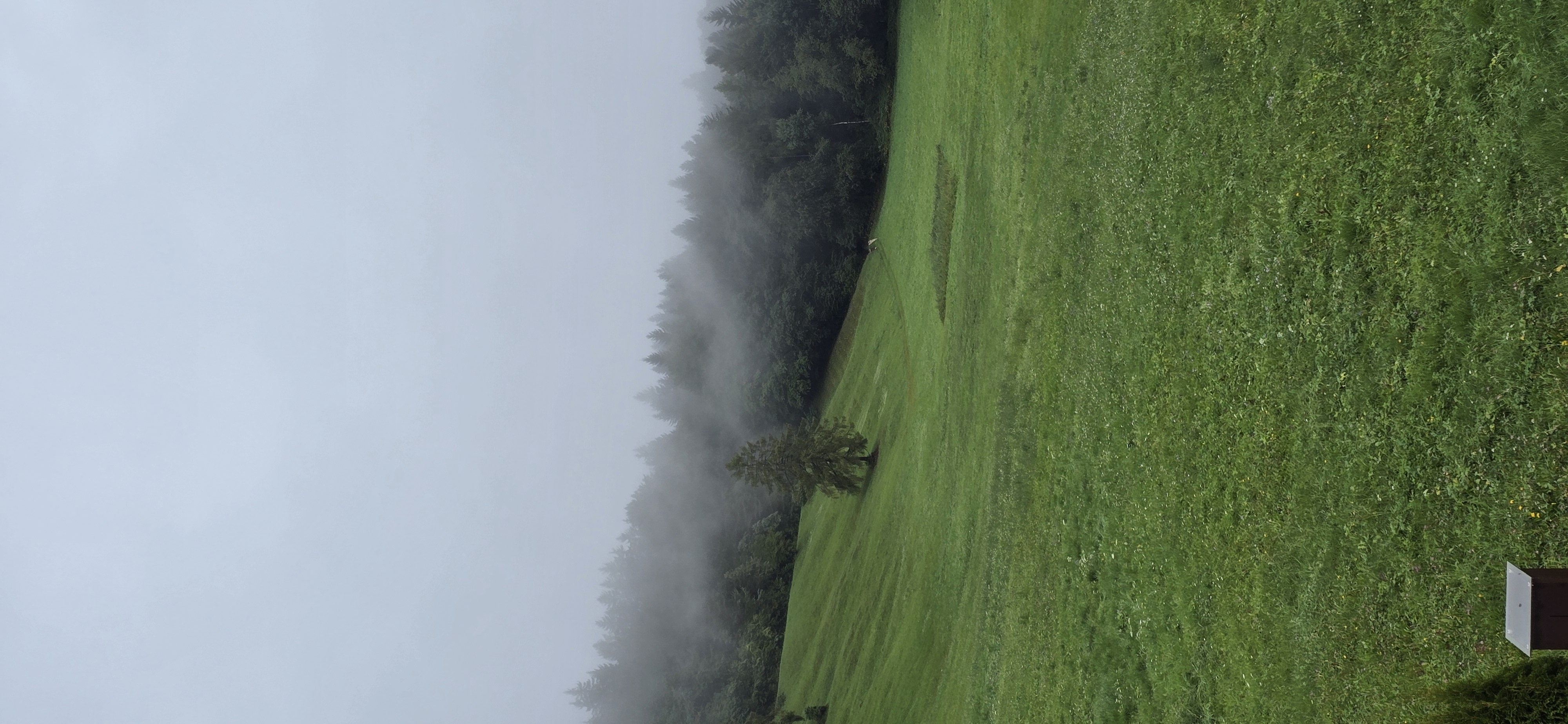 20250830_080749.jpg
