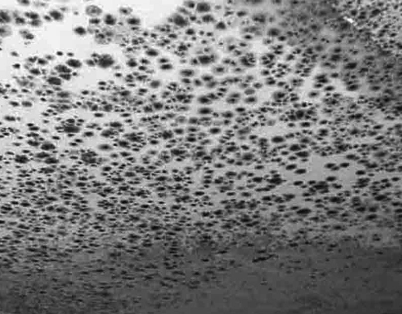 mould removal 632.jpg