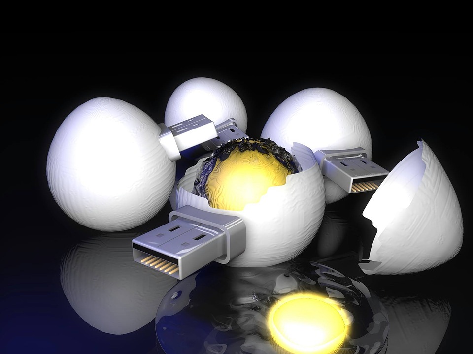chicken-eggs-2130773_960_720.jpg