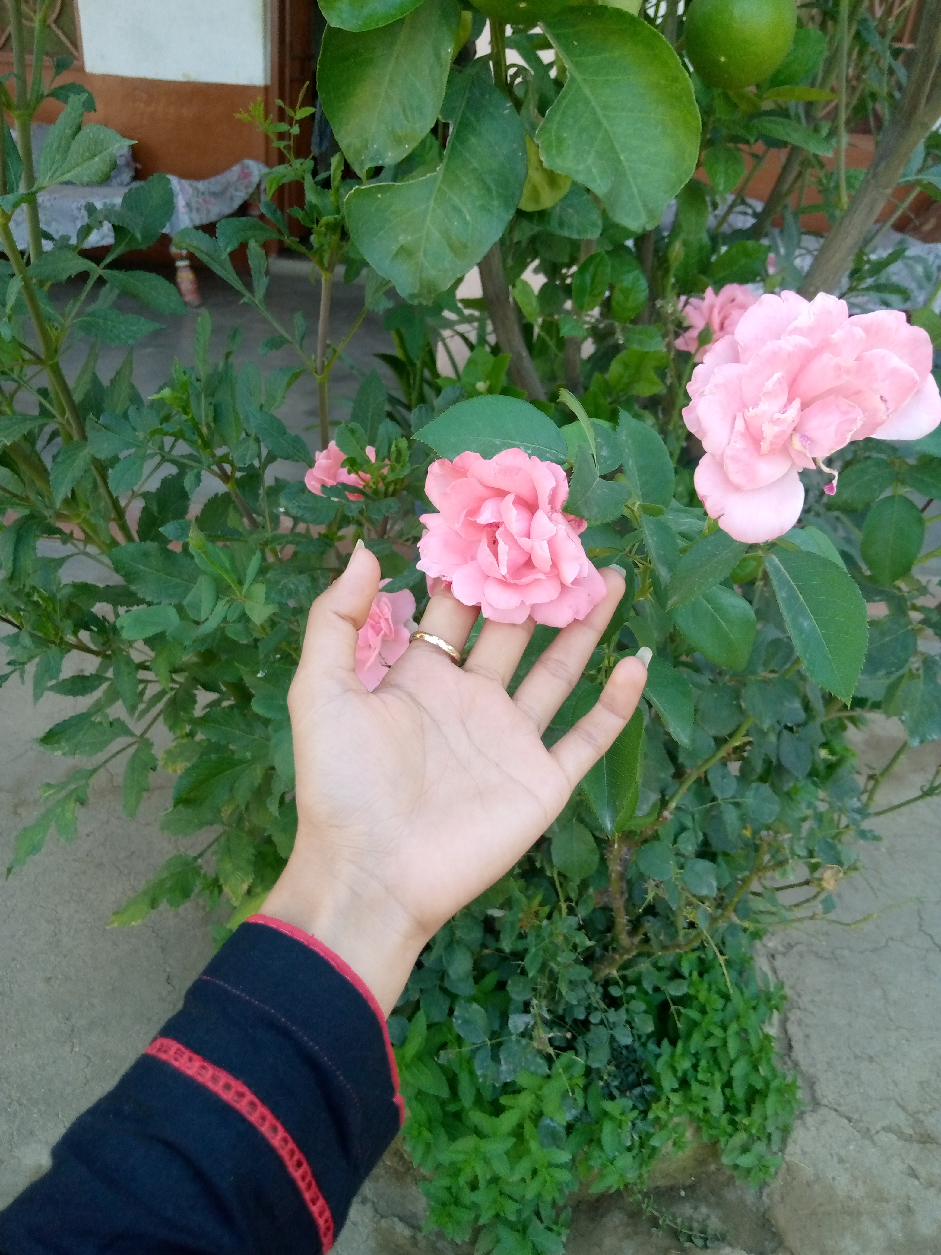 IMG_20210521_080101_460.jpg