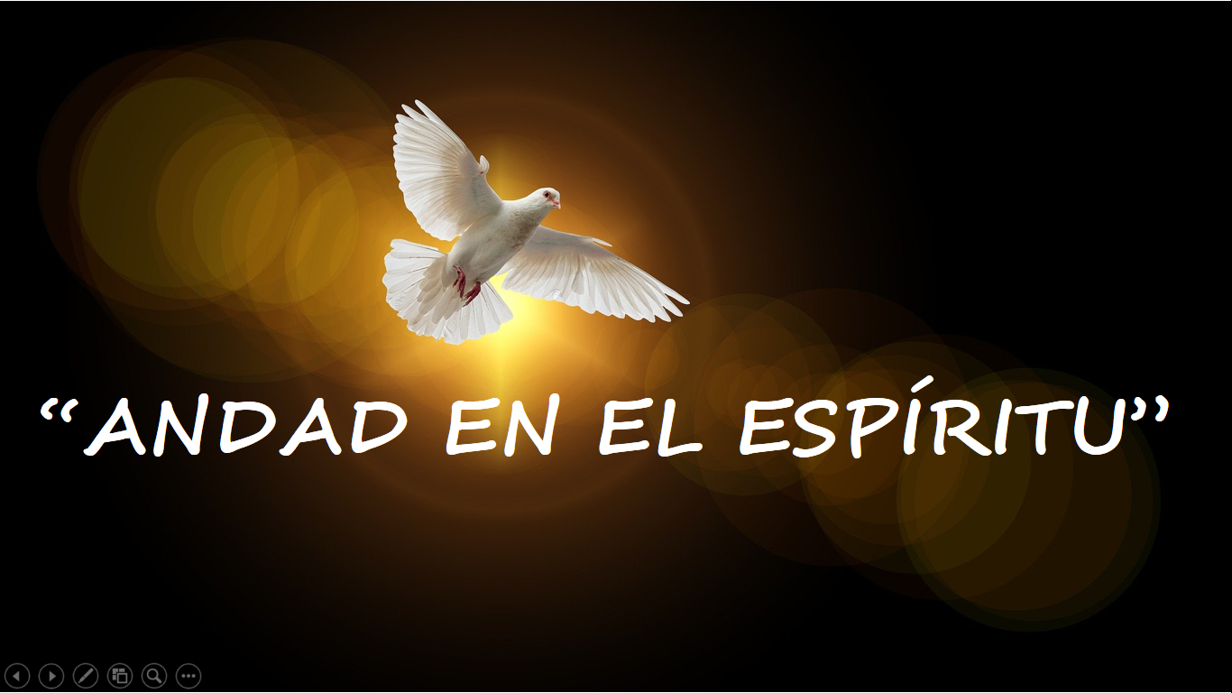 Captura de pantalla (1269).png