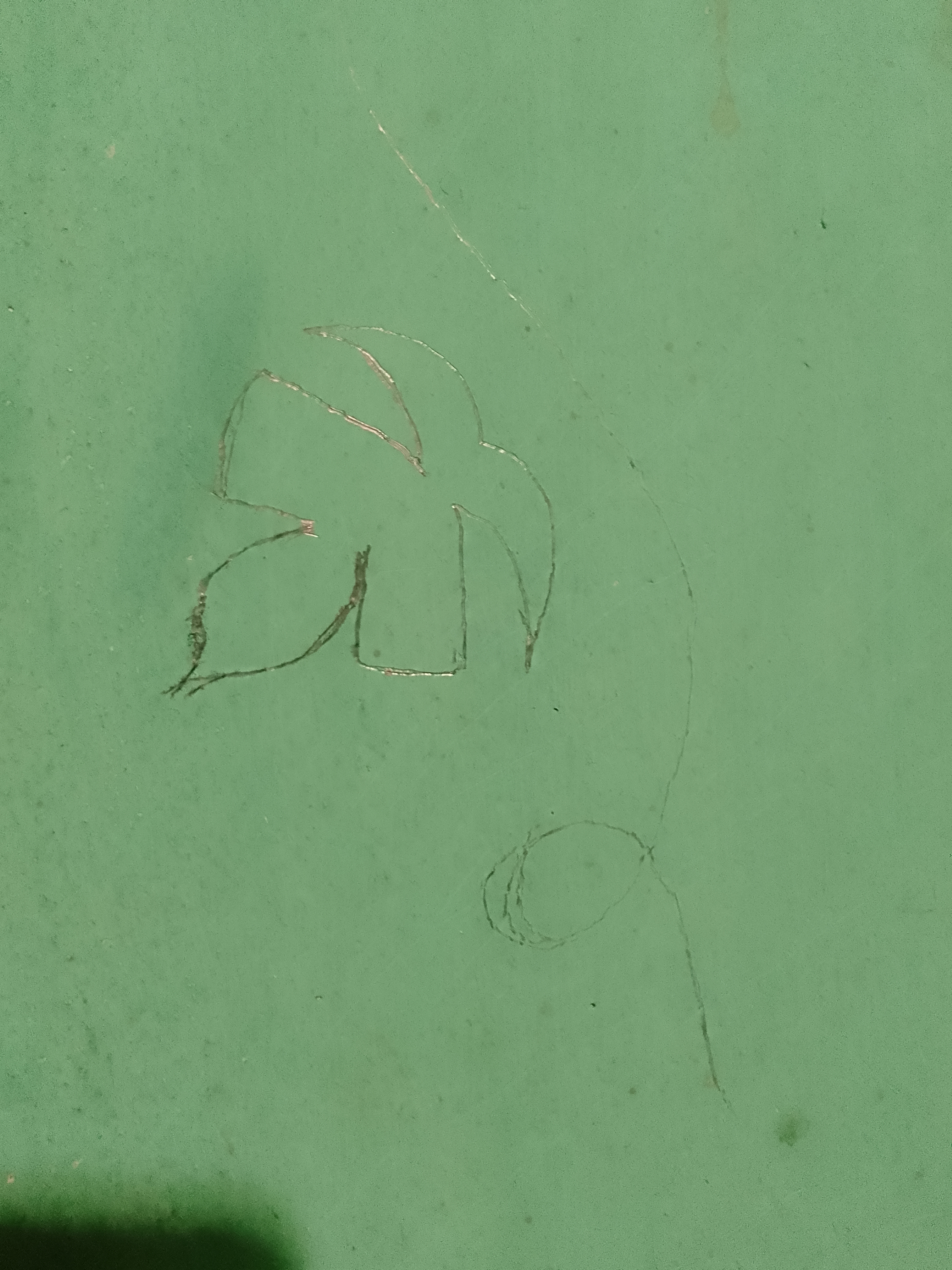 1000064527.jpg