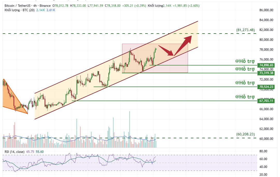 PL-Academy-Chart-1776857804067.jpg