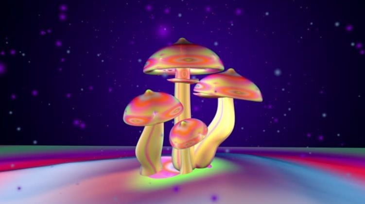 title (1).jpg