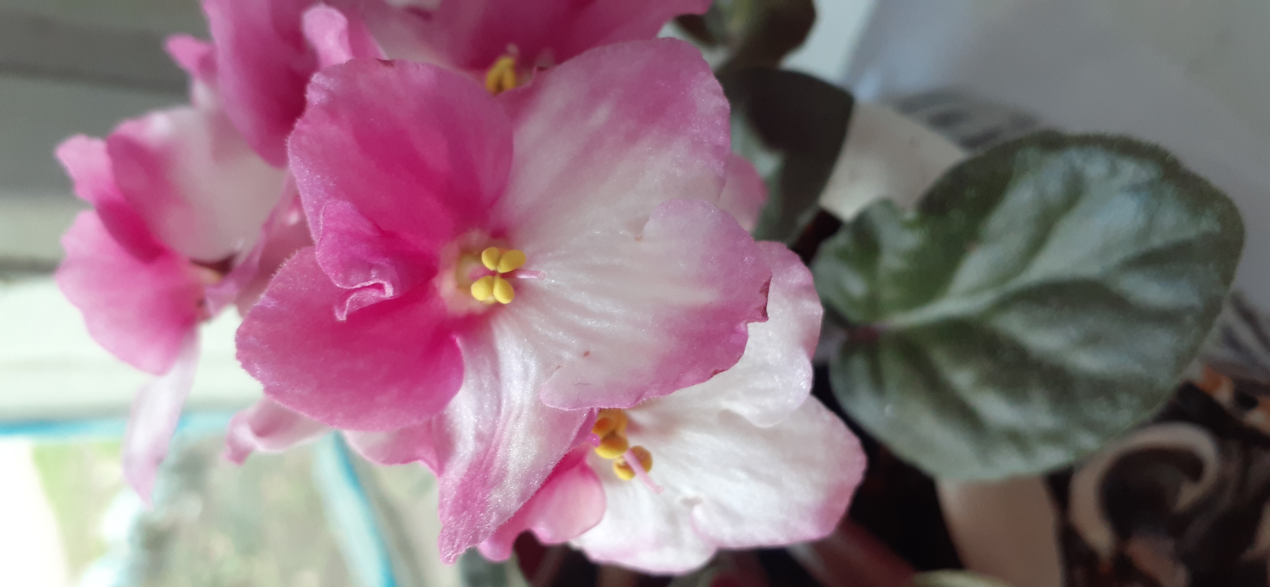 20201113_084437.jpg