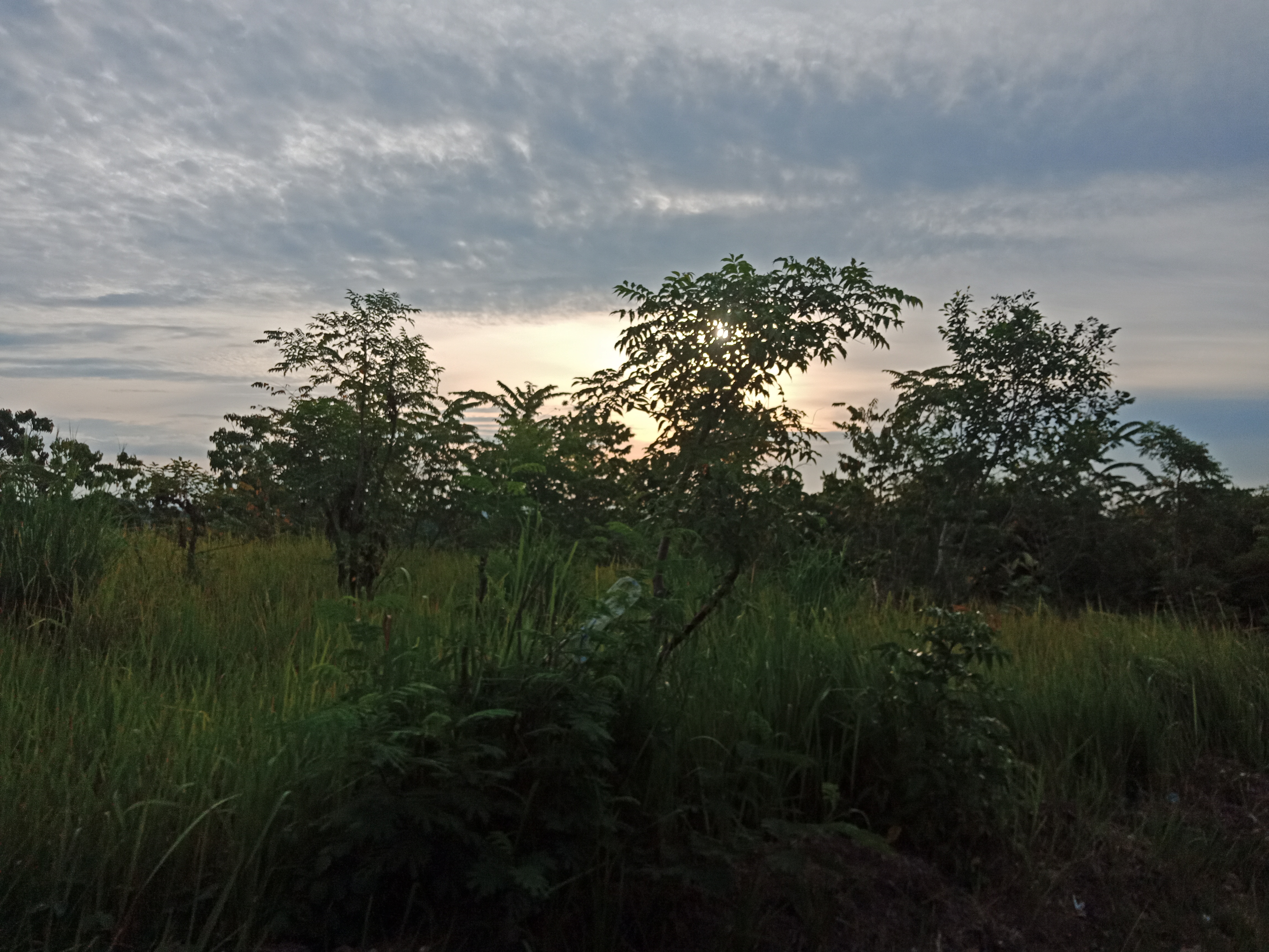 IMG20230910175219.jpg
