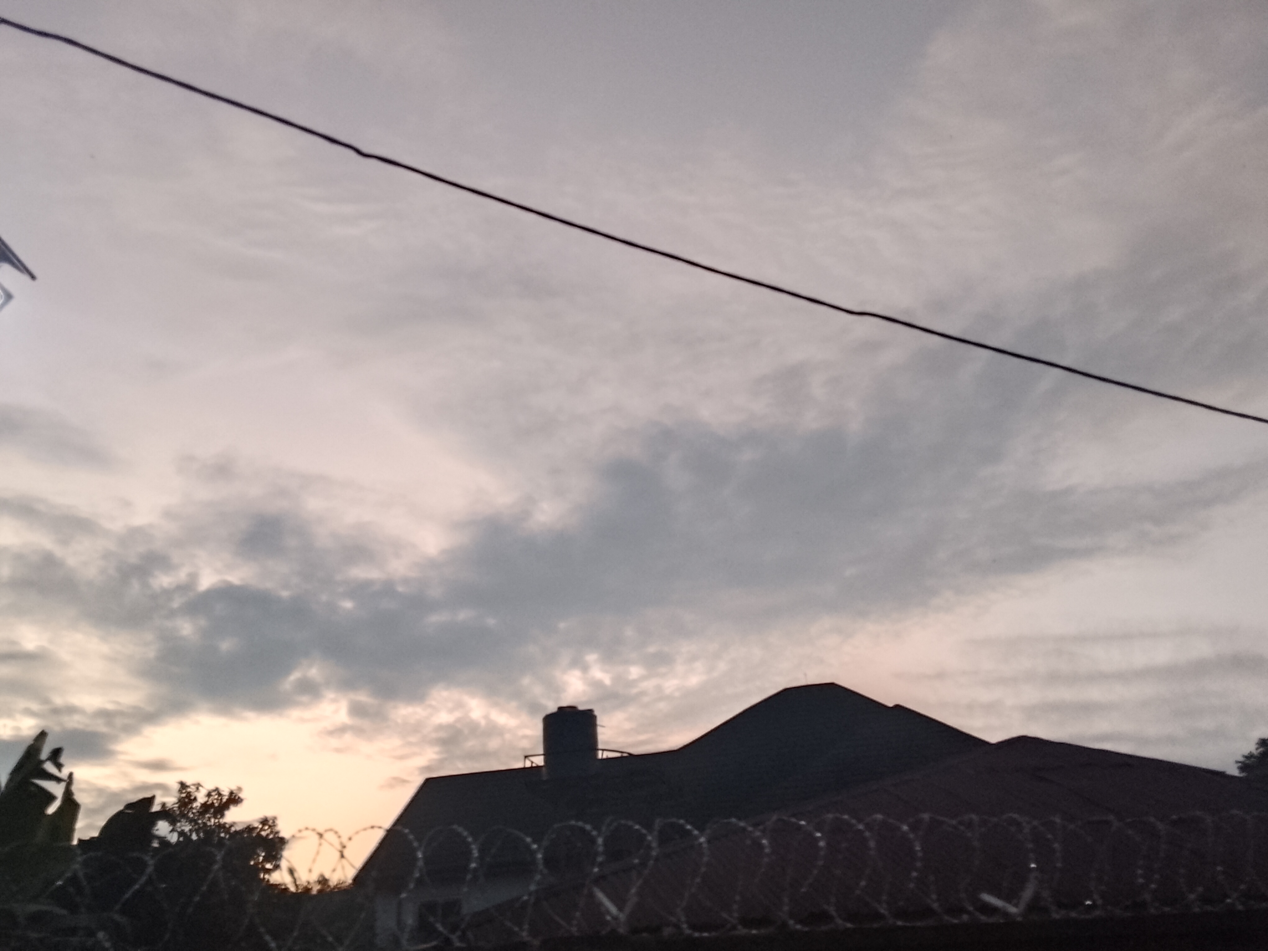 1000571078.jpg